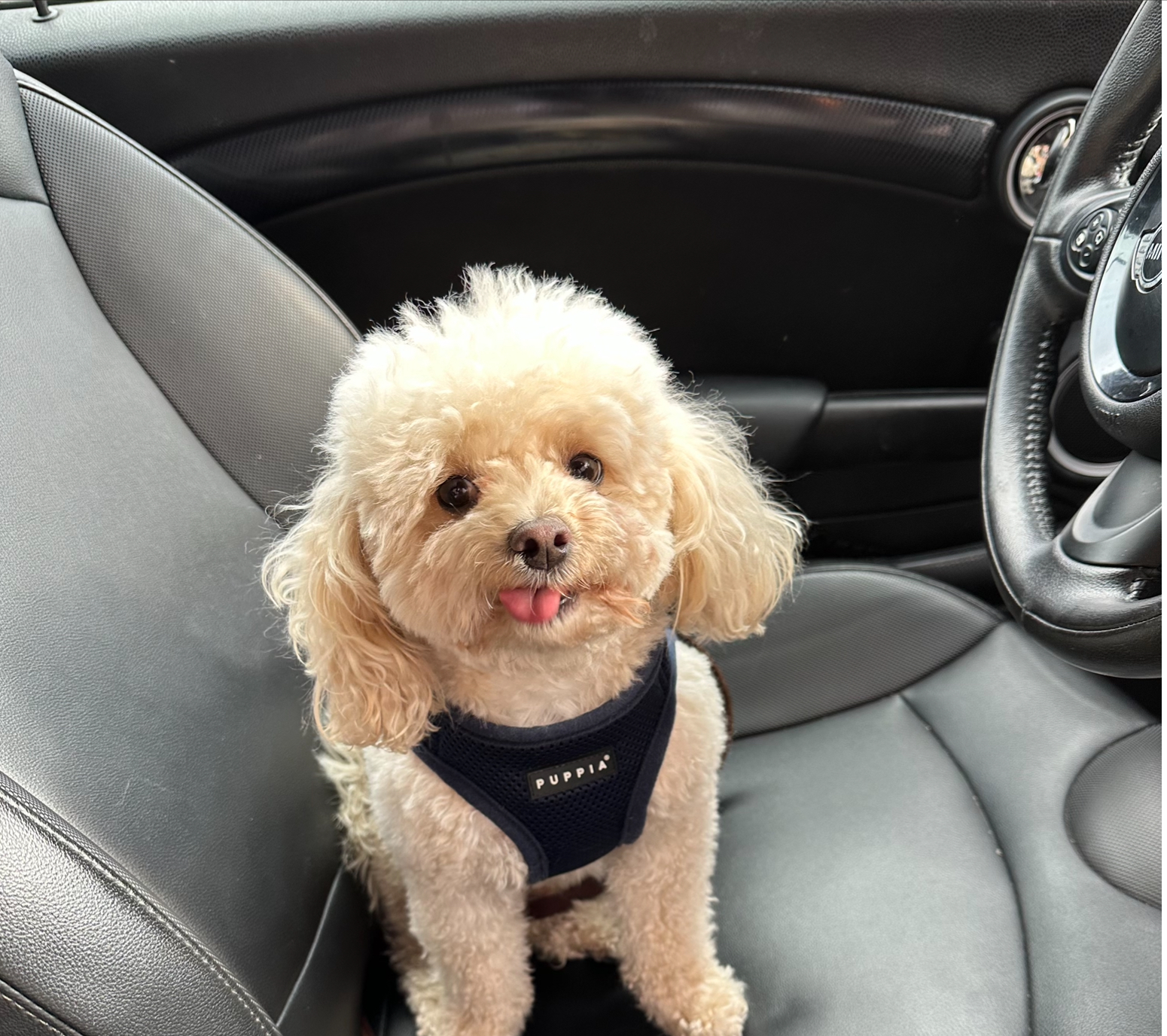 Photo Review Submission from Zeenal Thakare