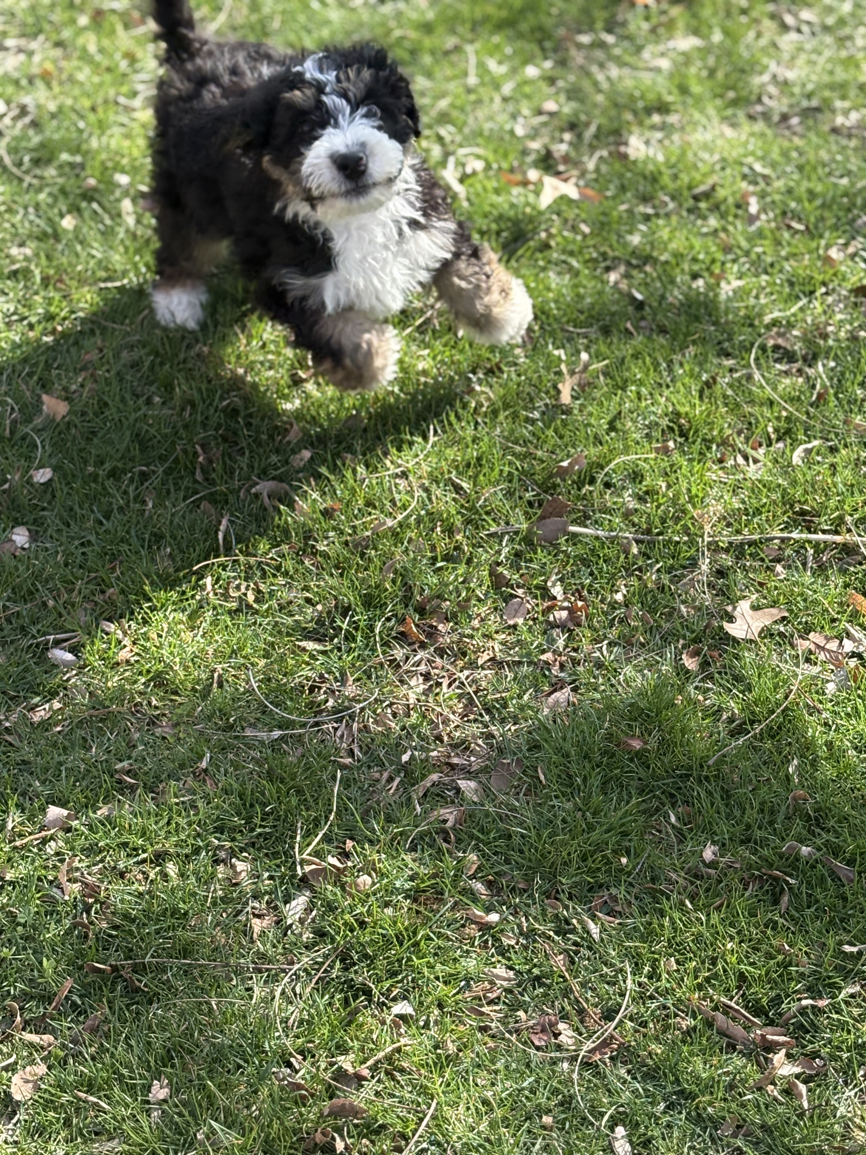 Photo Review Submission from Janelle Diehl