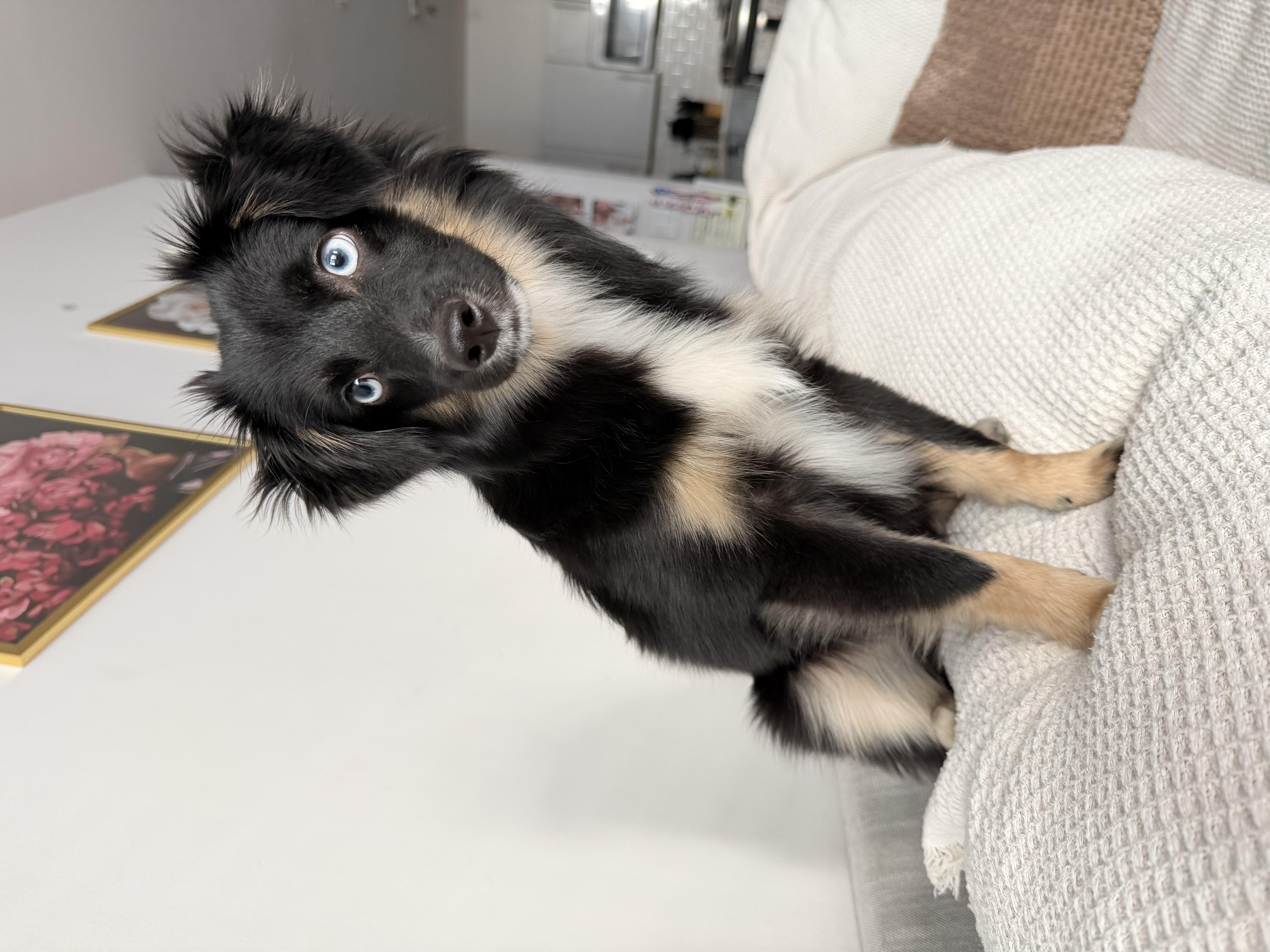 Photo Review Submission from Johana Carmona