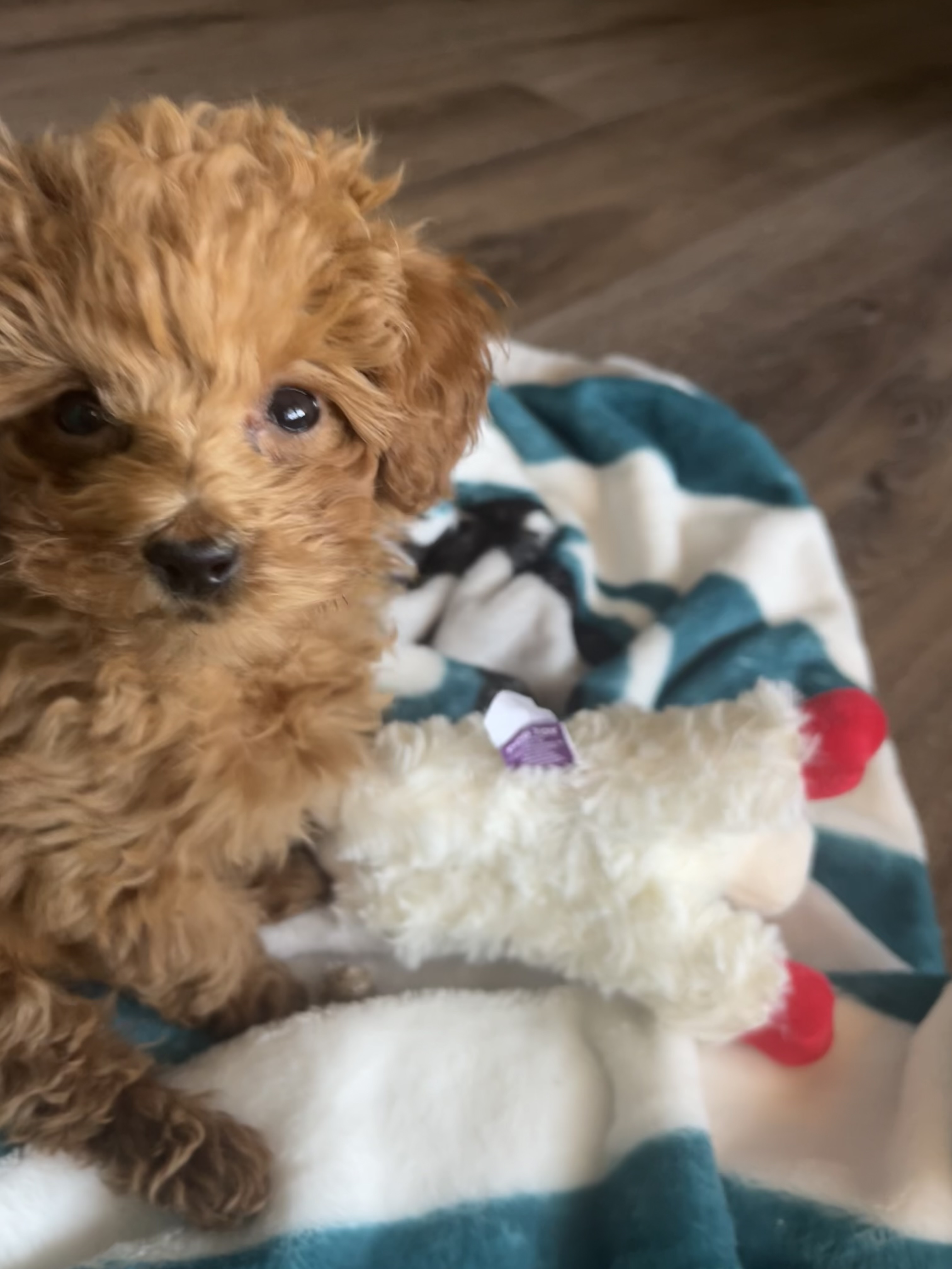 Photo Review Submission from Nicole Angstadt