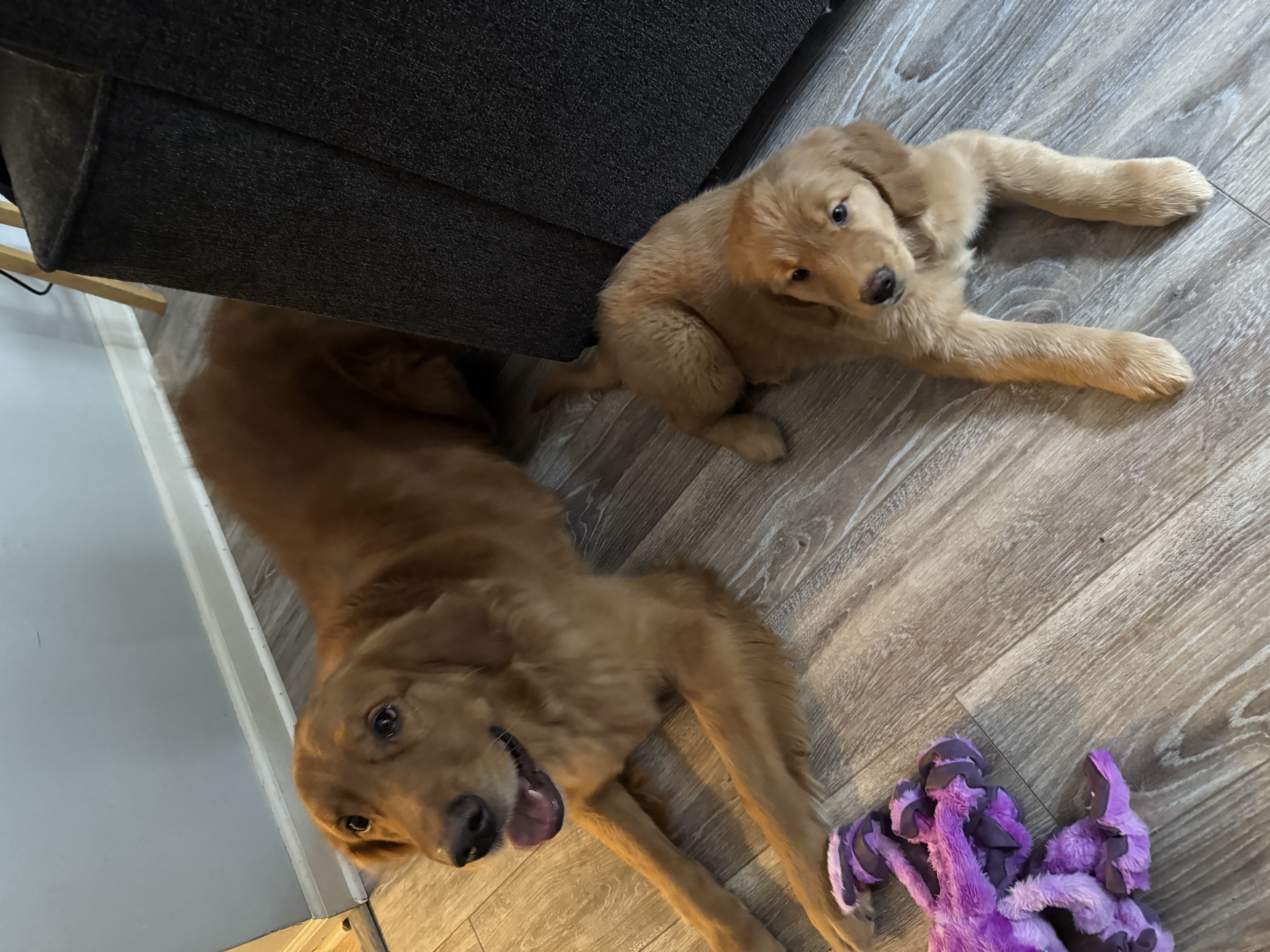 Photo Review Submission from Lily S