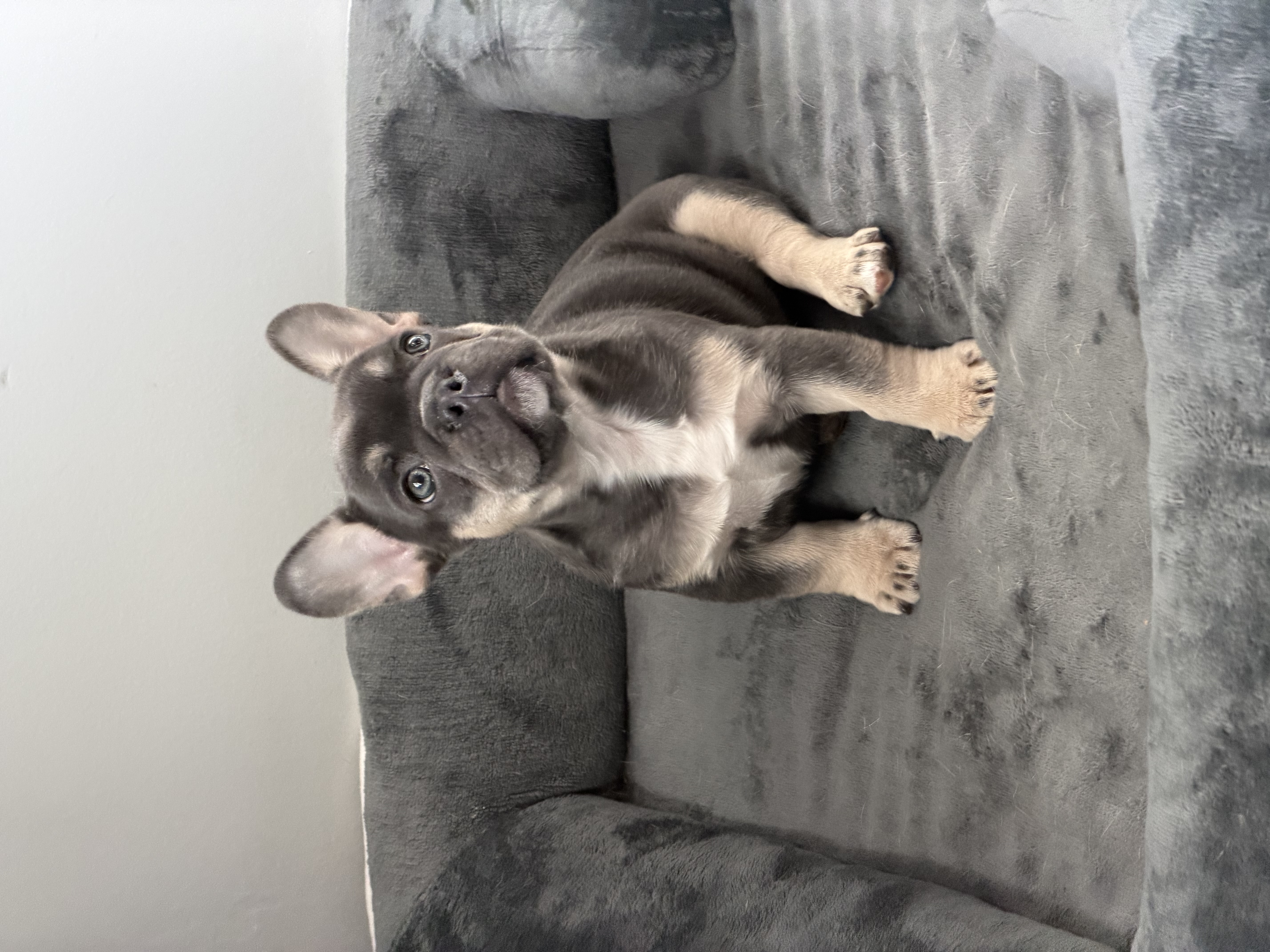 Photo Review Submission from Carrie Strungis