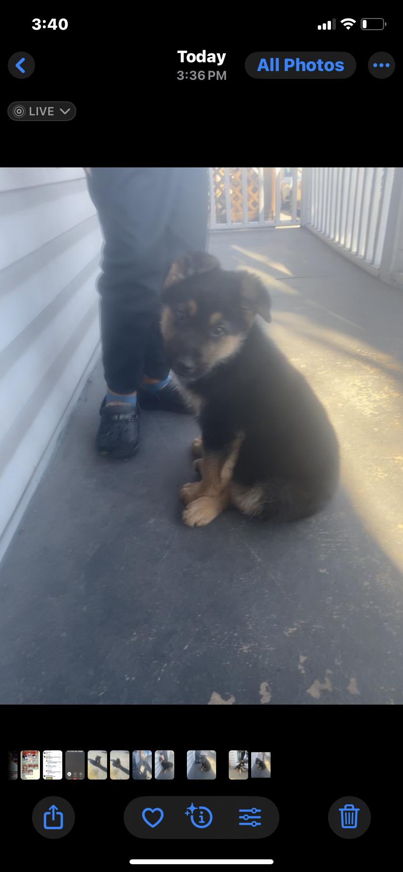 Photo Review Submission from Luis Perez