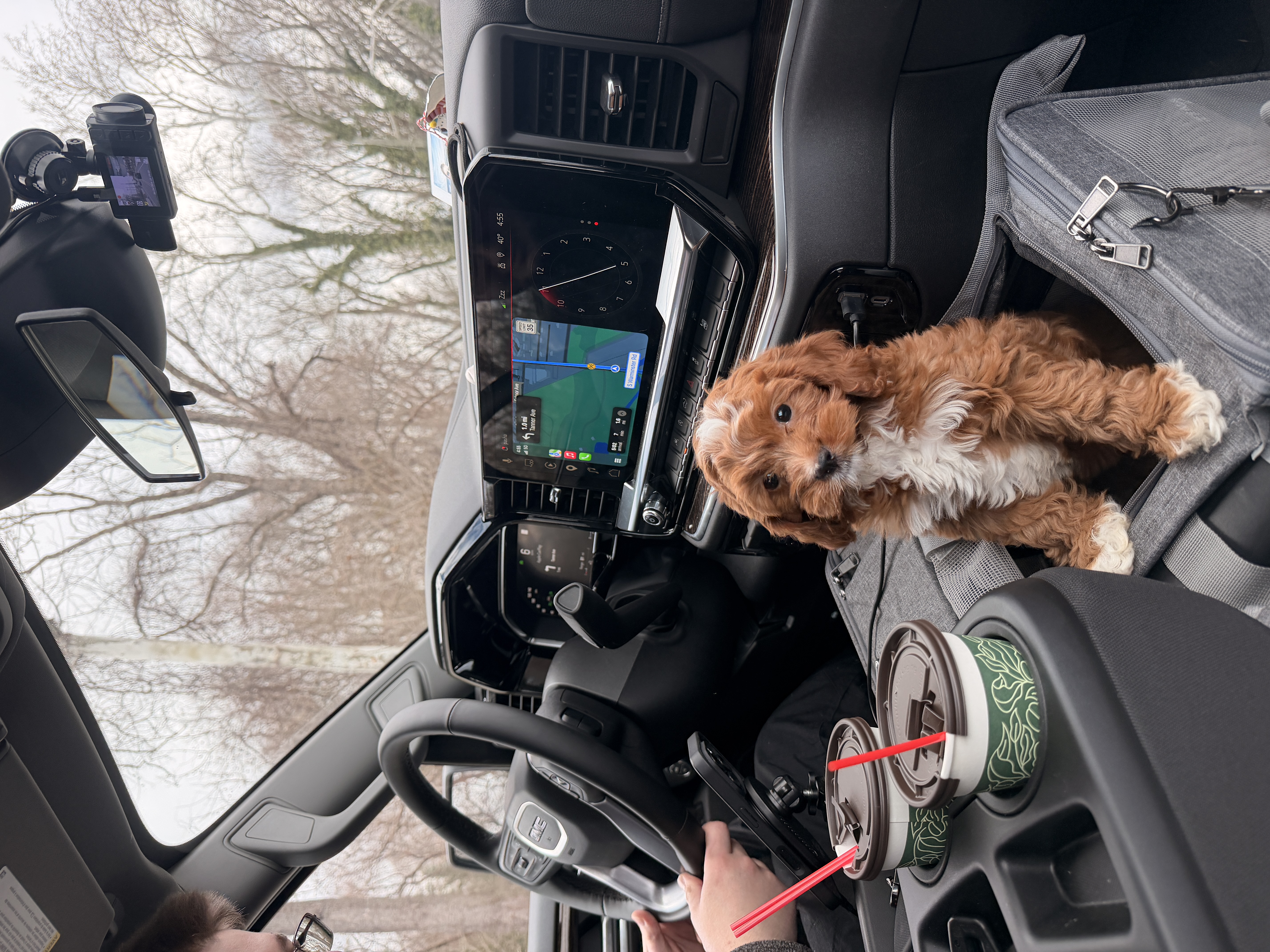 Photo Review Submission from Jessica Myakush