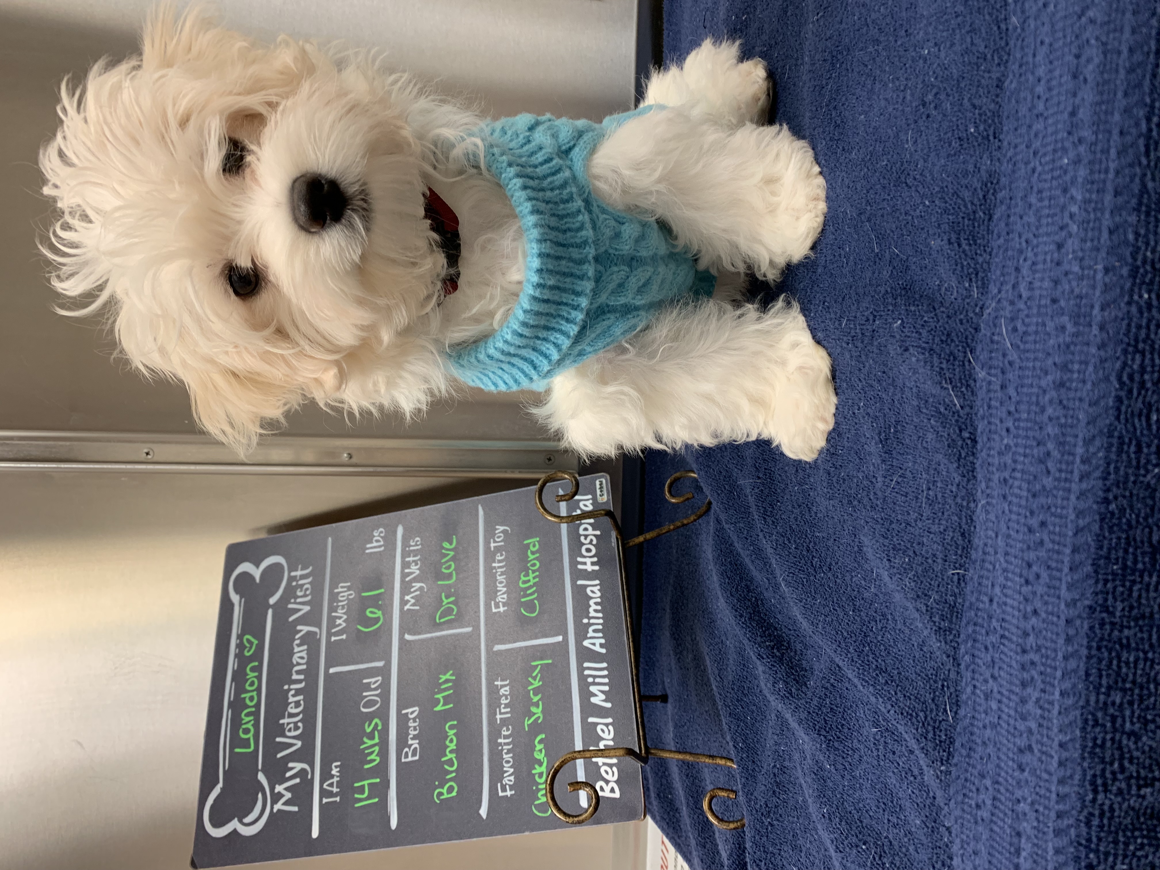 Photo Review Submission from Sharon Senteneri