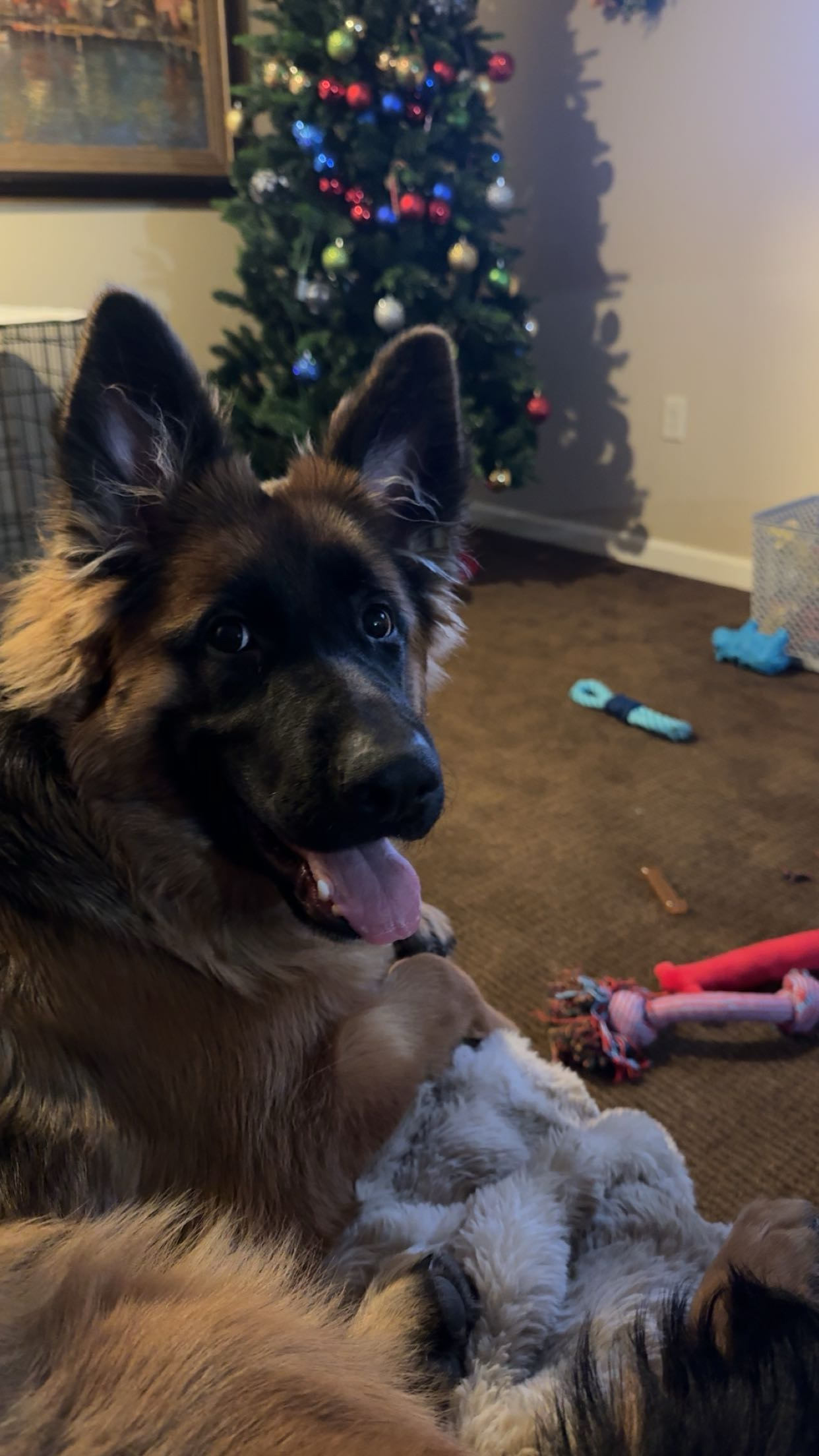 Photo Review Submission from Anthony Yannone