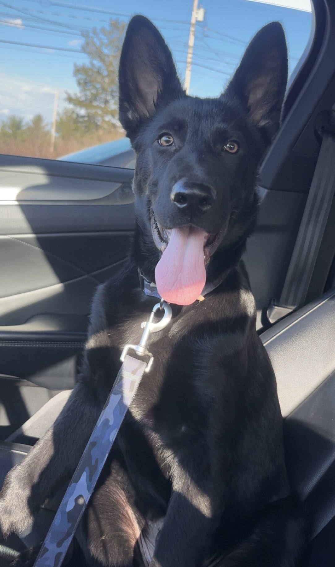 Photo Review Submission from Brianna Shaffer