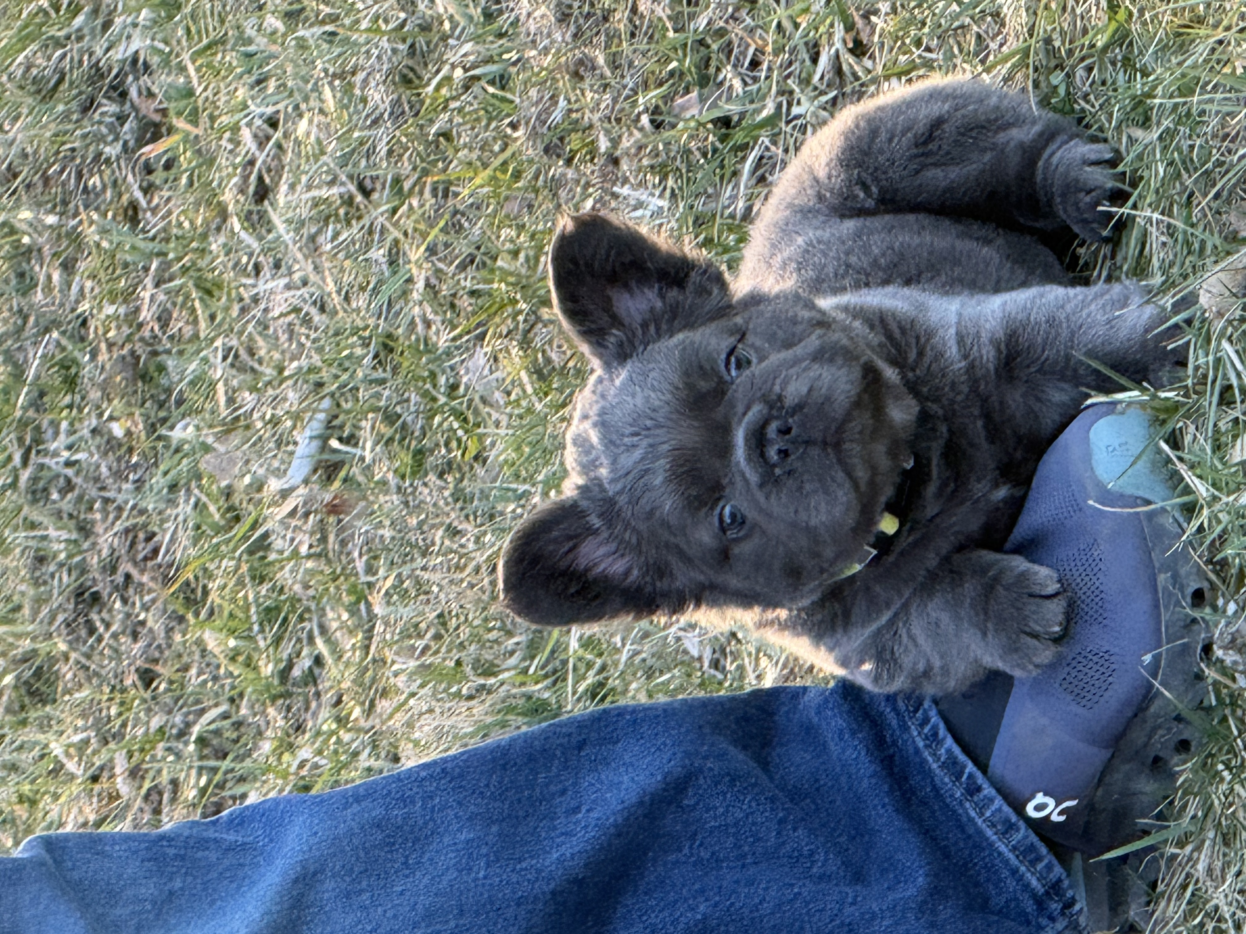 Photo Review Submission from Dee Seltzer