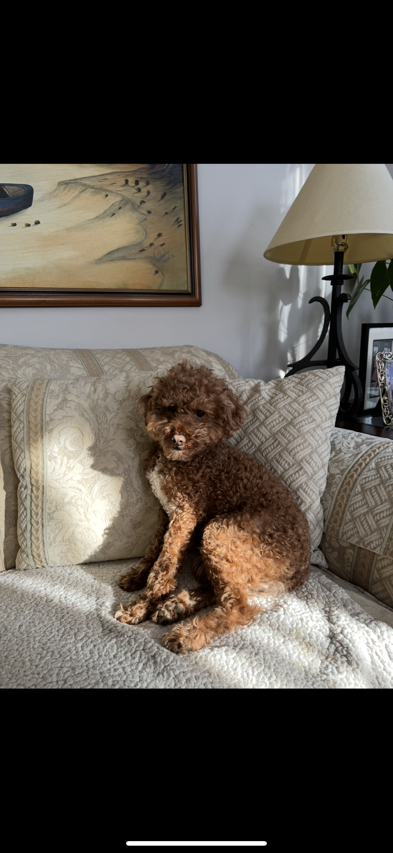 Photo Review Submission from Jonathan Rodriguez