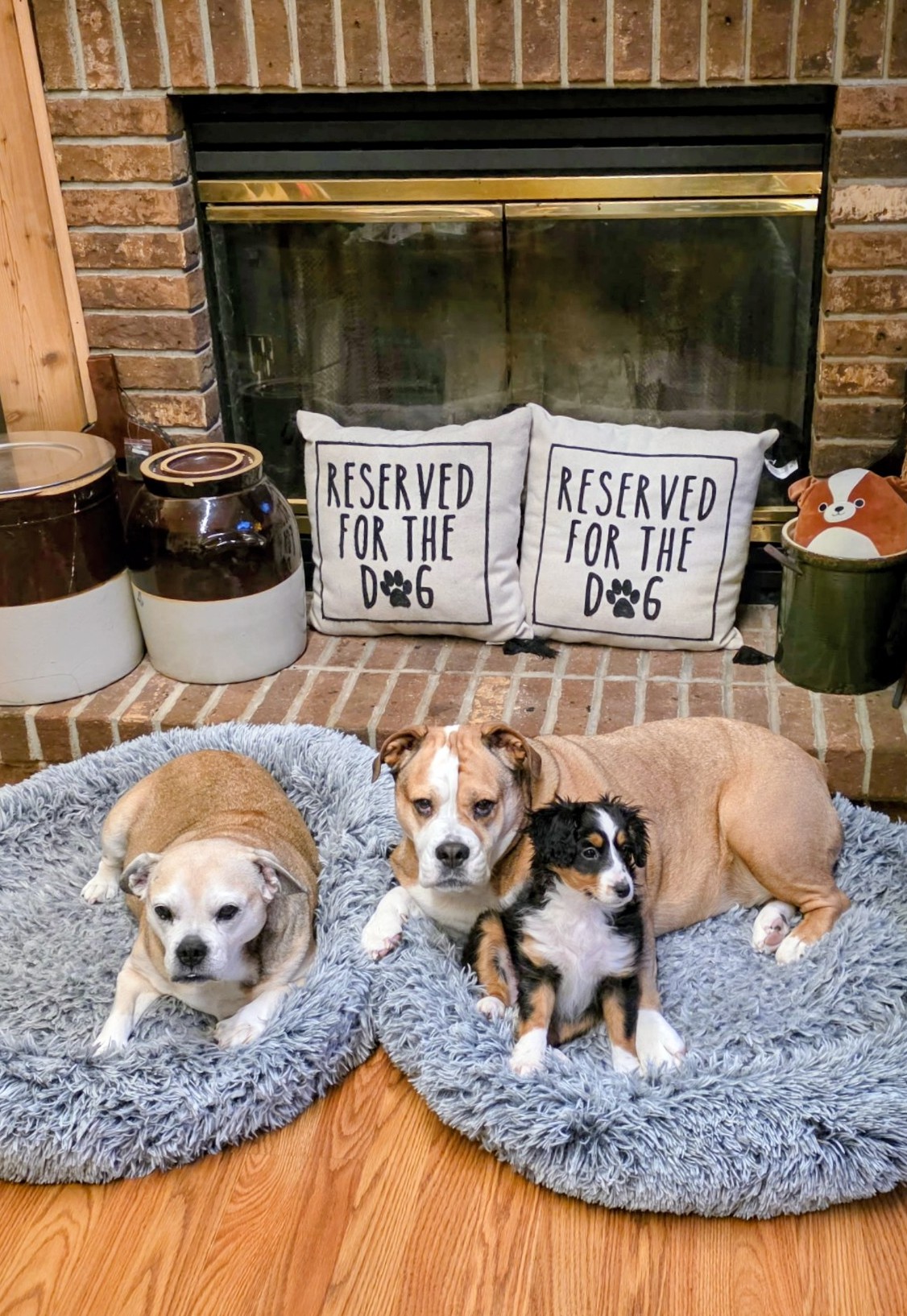 Photo Review Submission from Leisa and Bob McGlaughlin