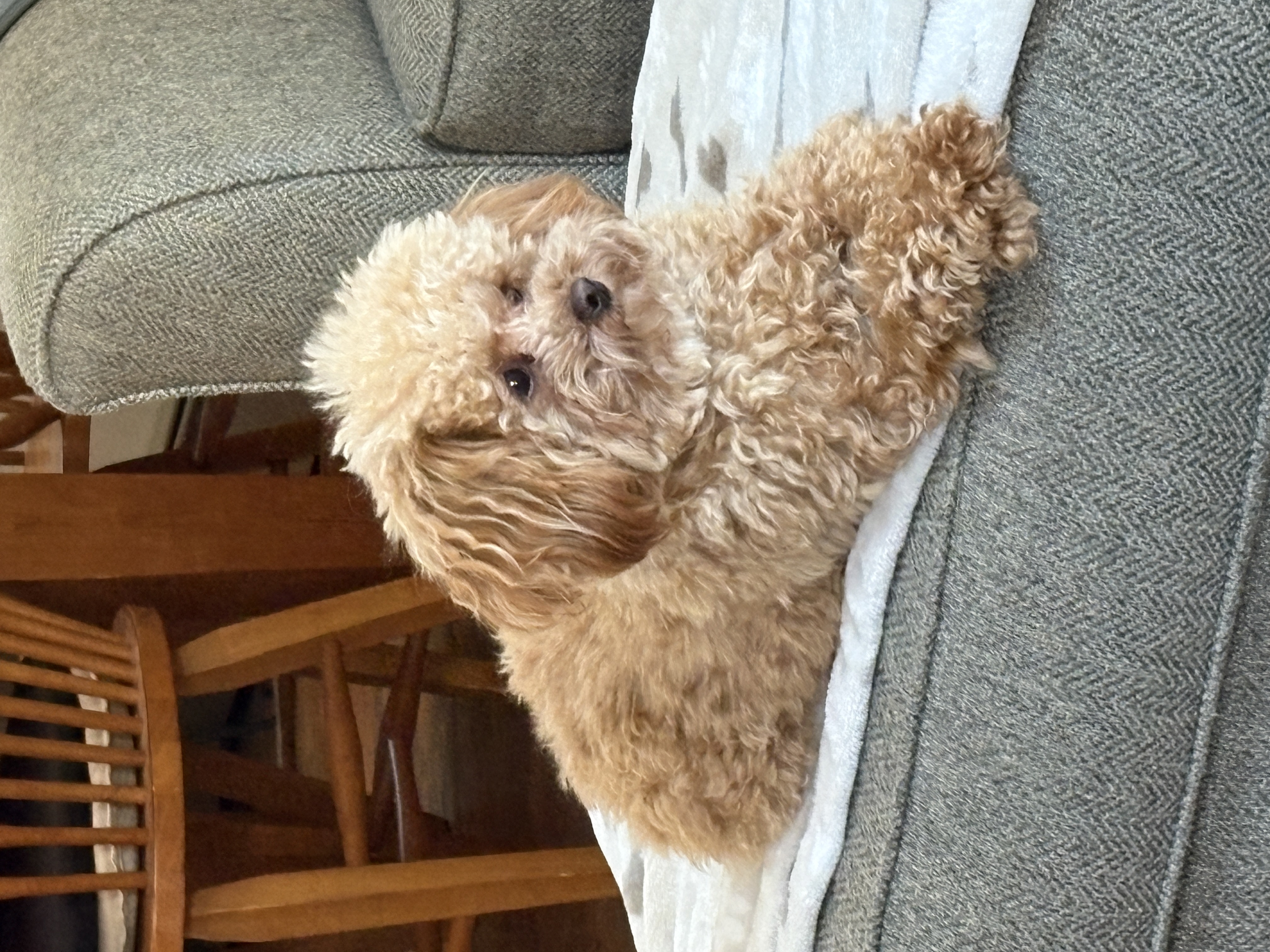 Photo Review Submission from Rose Aumen