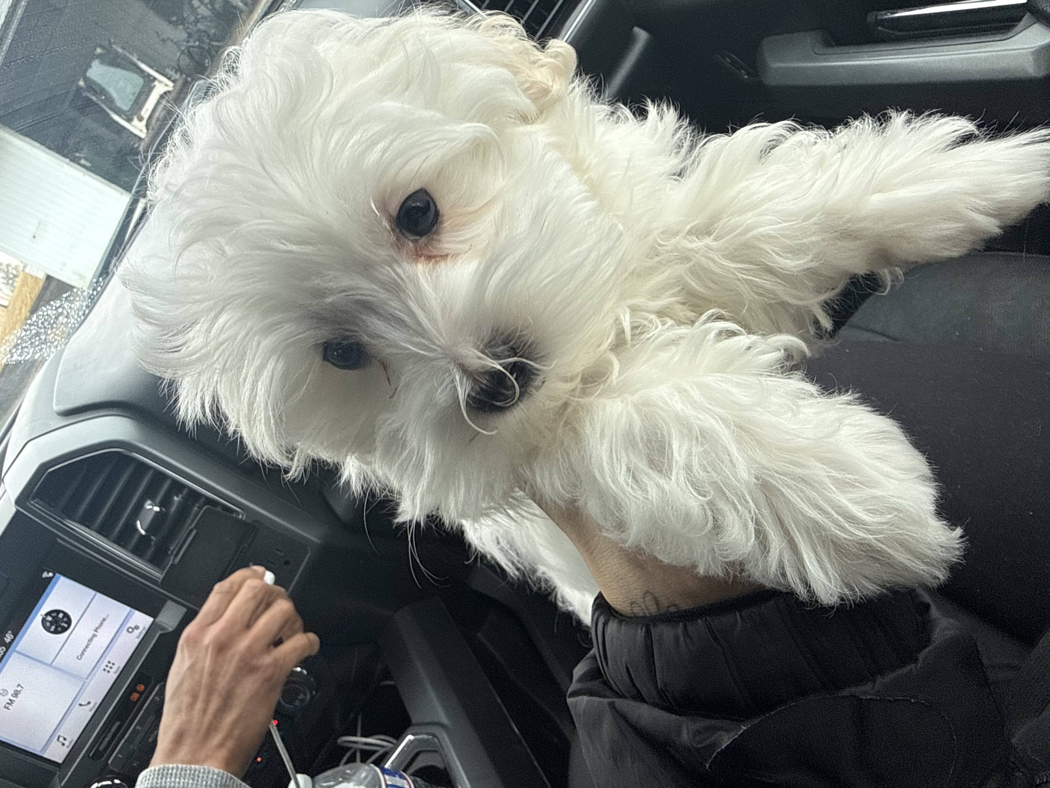 Photo Review Submission from Emilly Rodrigues Dasilva