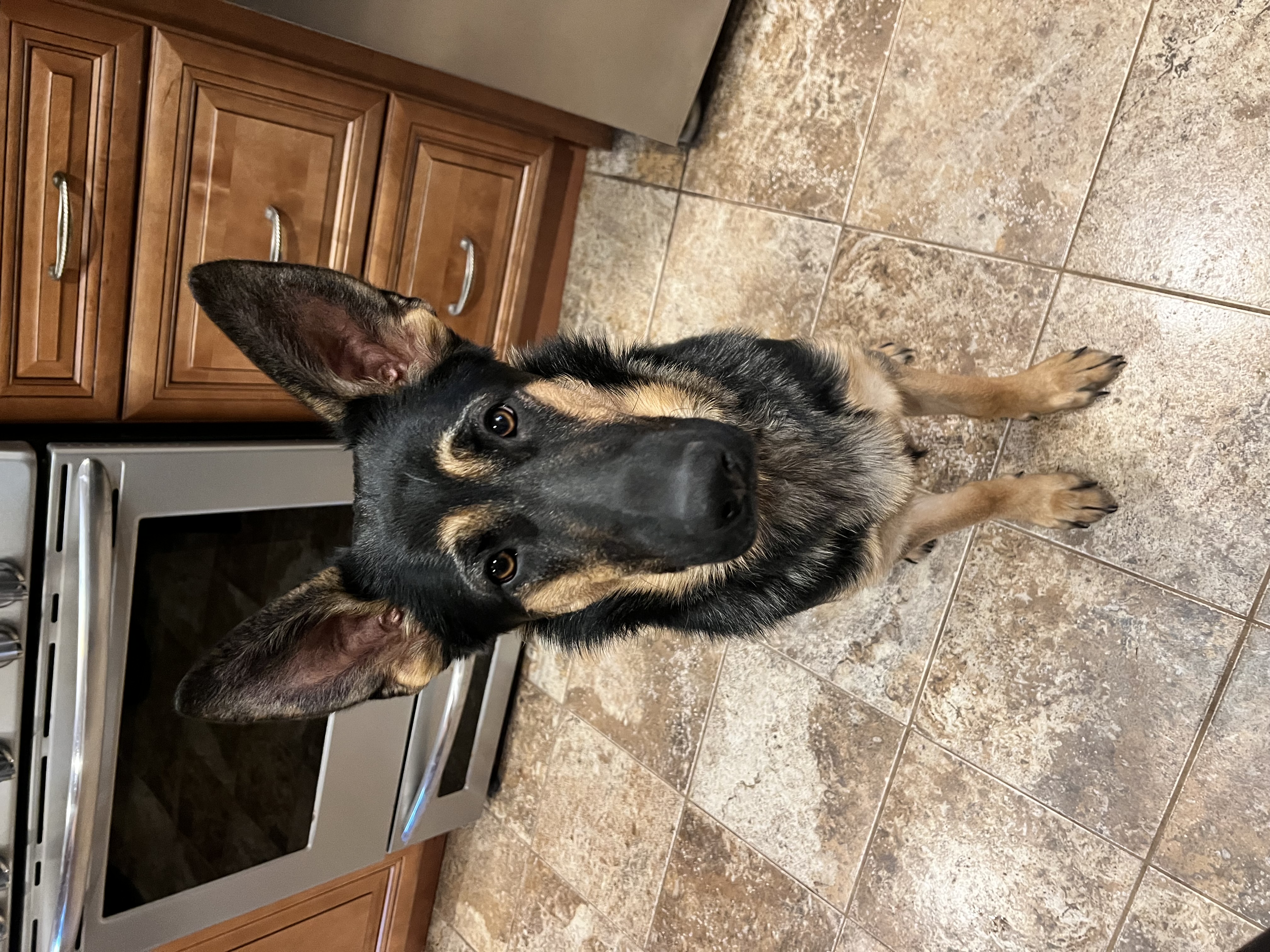 Photo Review Submission from Michelle Newell