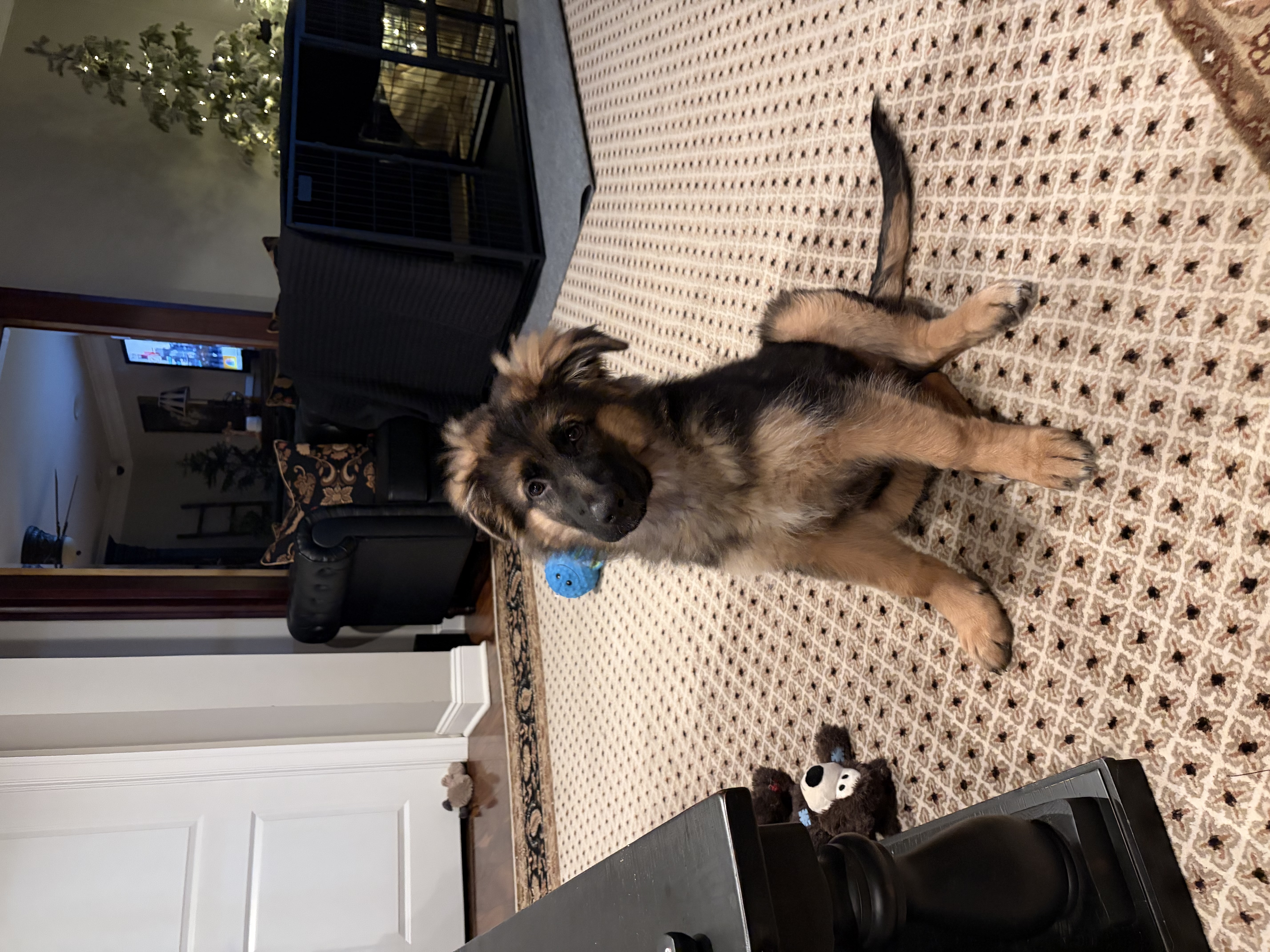 Photo Review Submission from Cindy Makowski