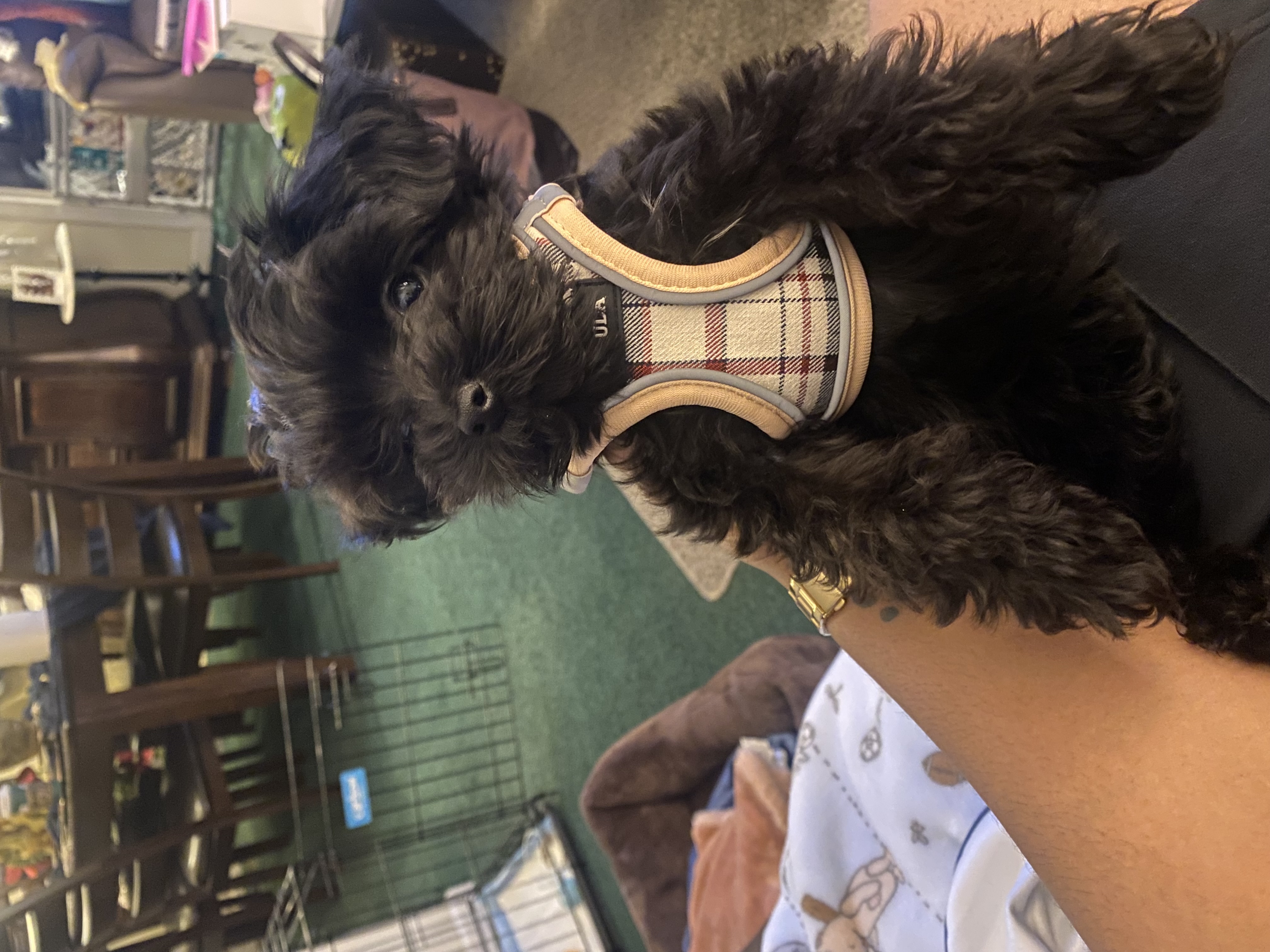 Photo Review Submission from Sherese Hargrove