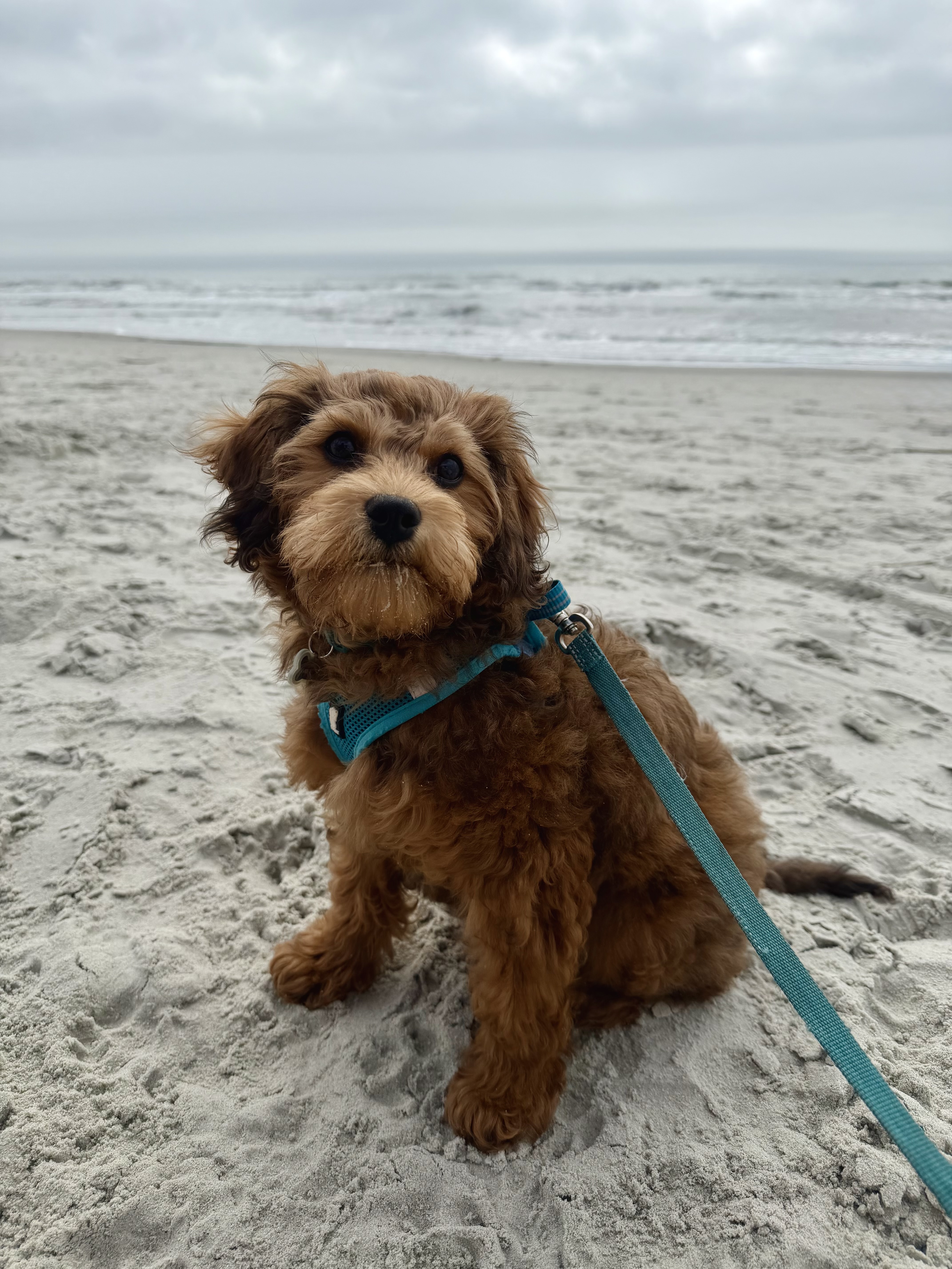 Photo Review Submission from Kristin Shifflett