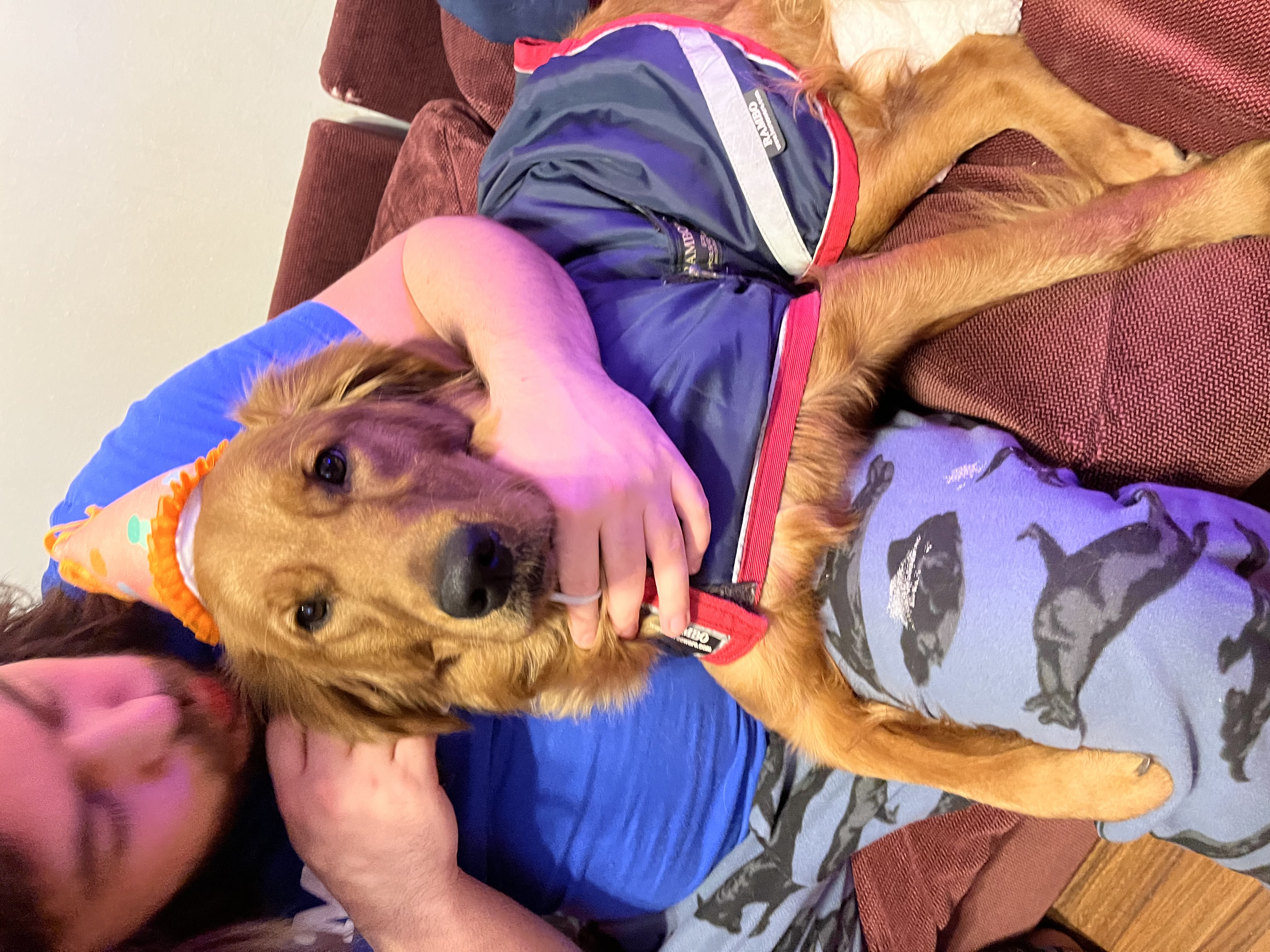 Photo Review Submission from Kat McClelland