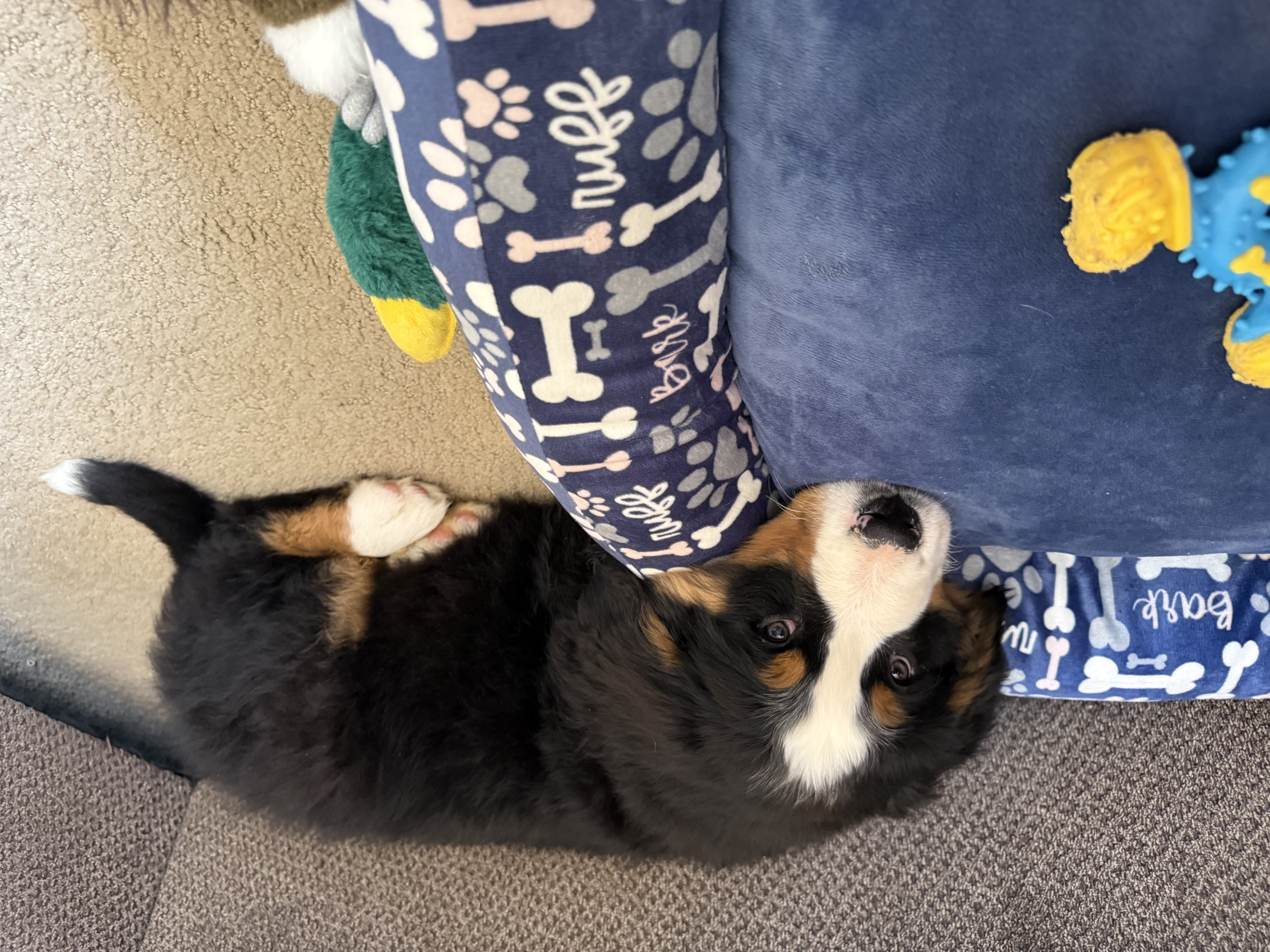 Photo Review Submission from Kayla Sharp