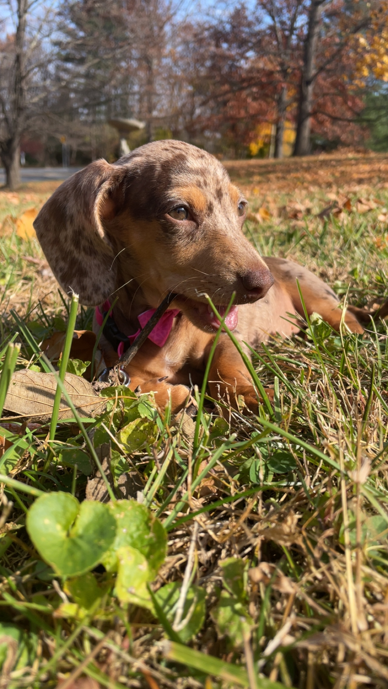 Photo Review Submission from Allison Vicente Rodriguez