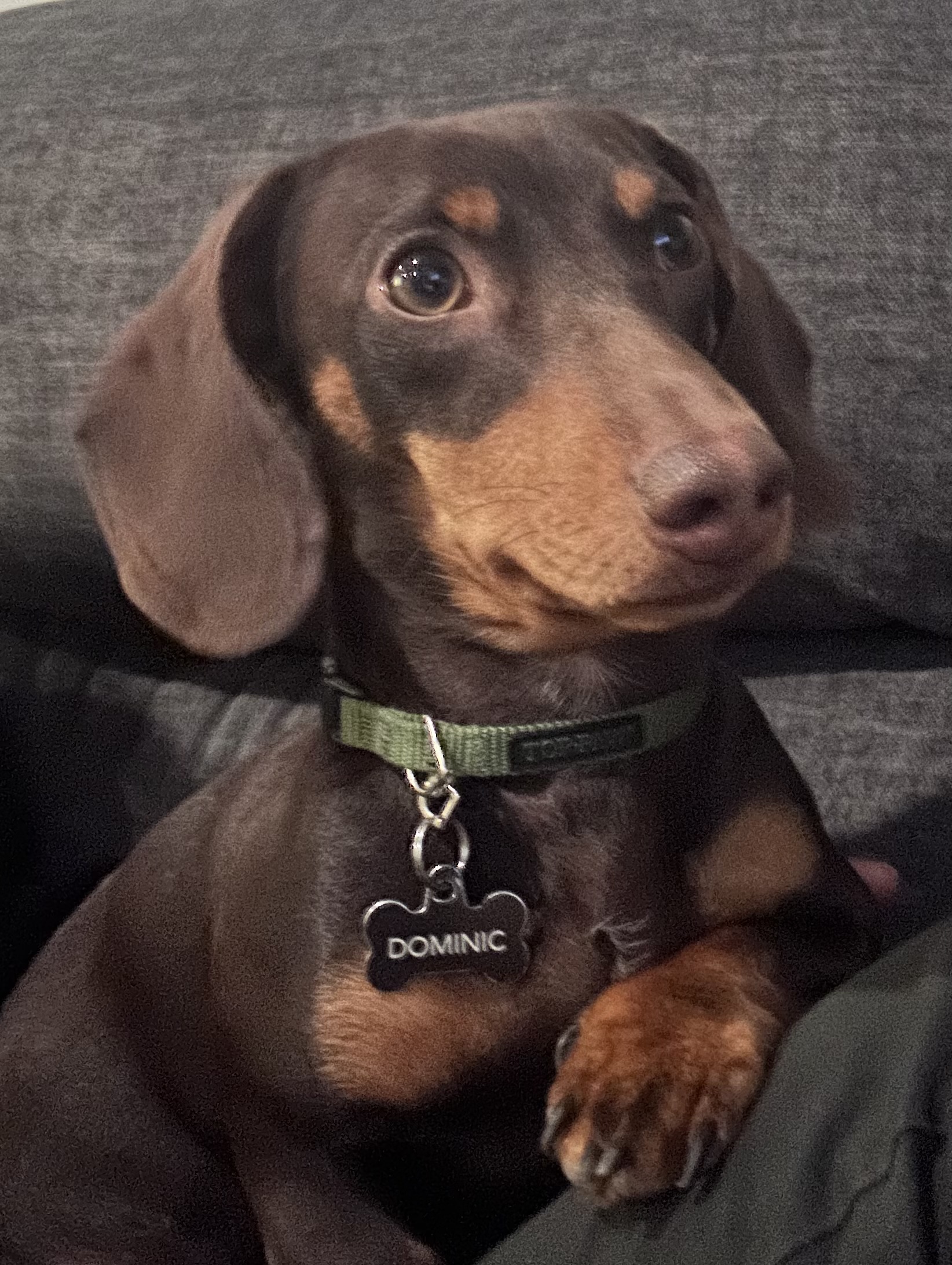 Photo Review Submission from Marjorie Castaldi