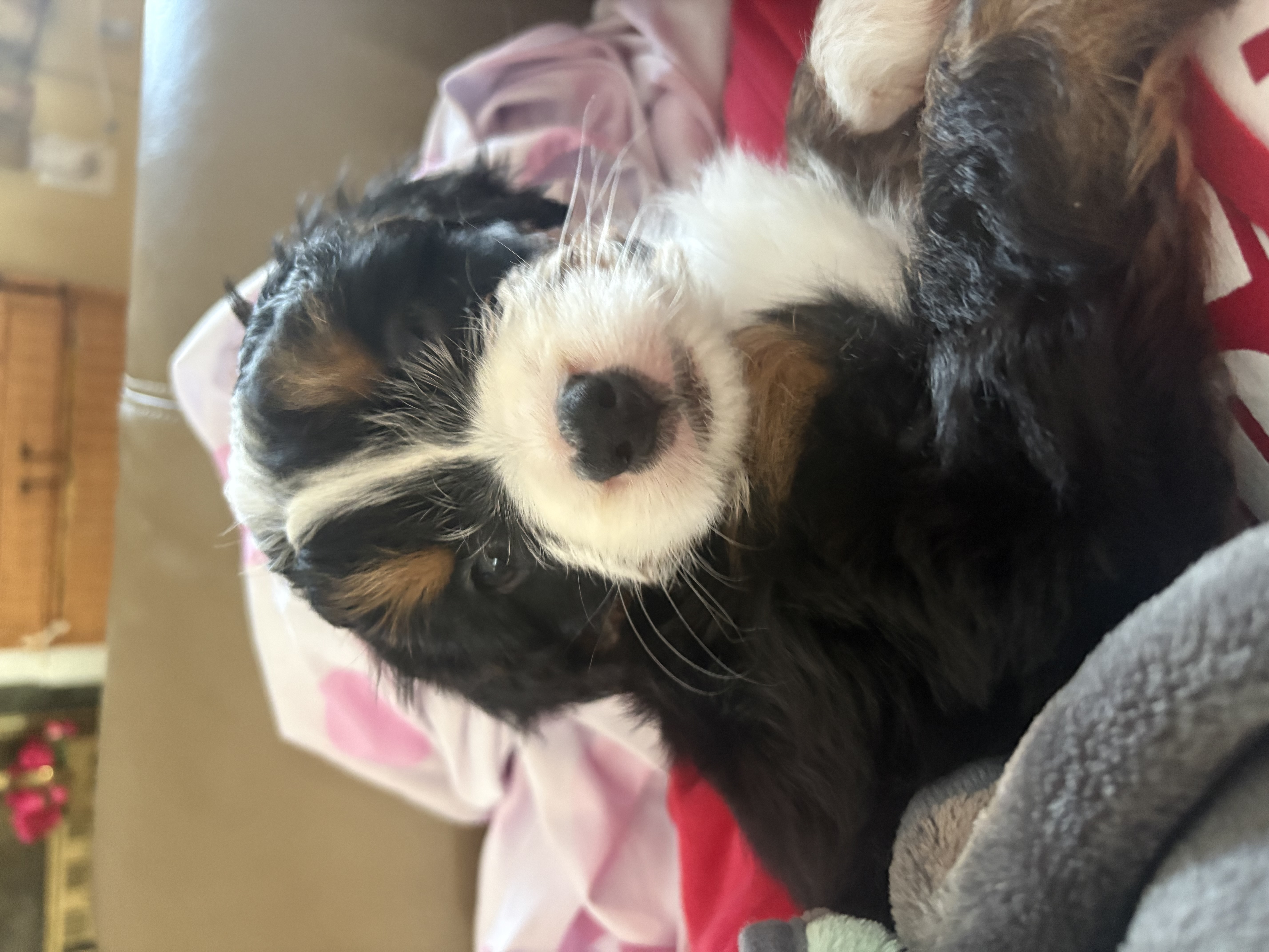 Photo Review Submission from Dana Rush