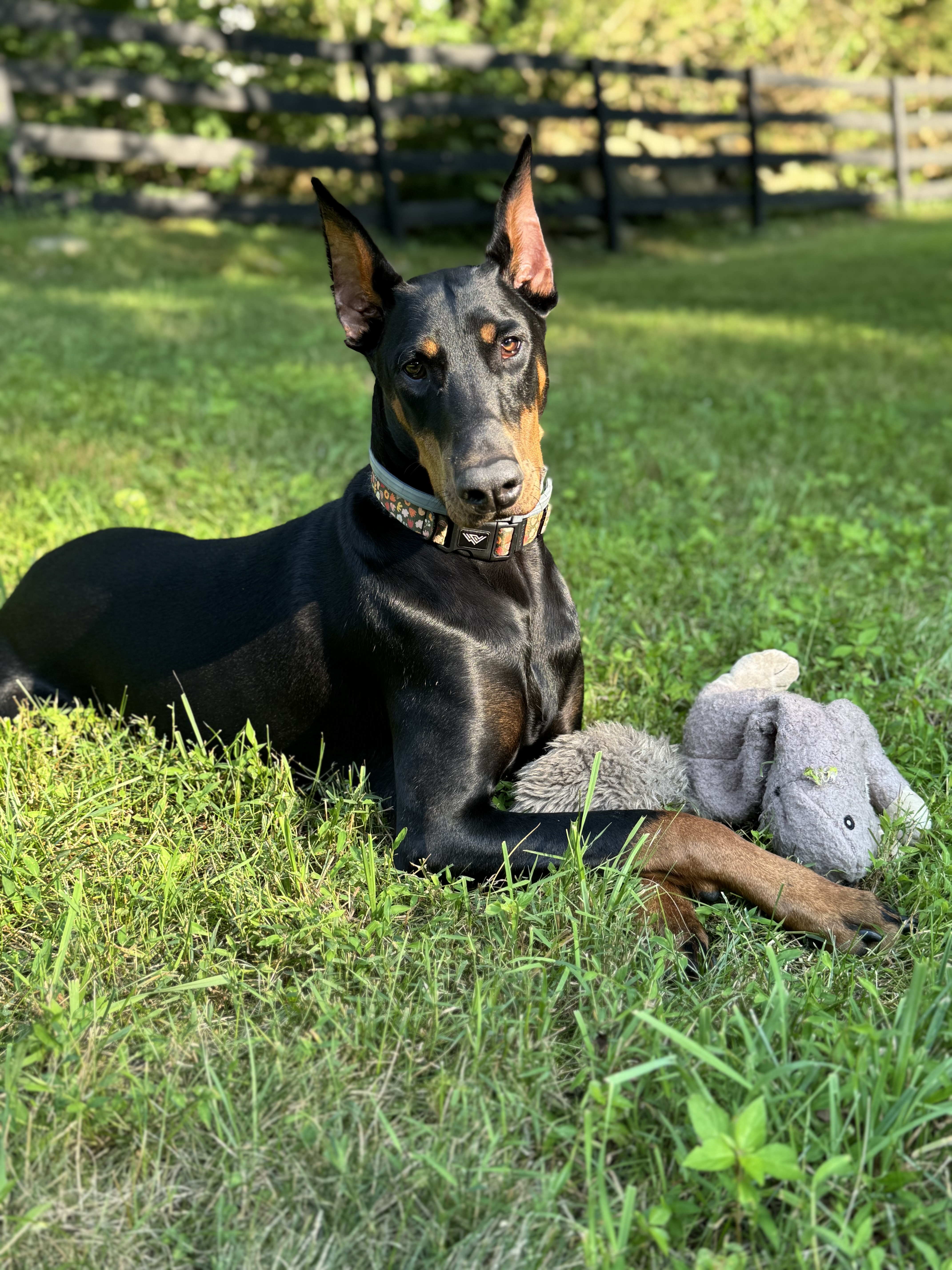 Photo Review Submission from Glenn Proto