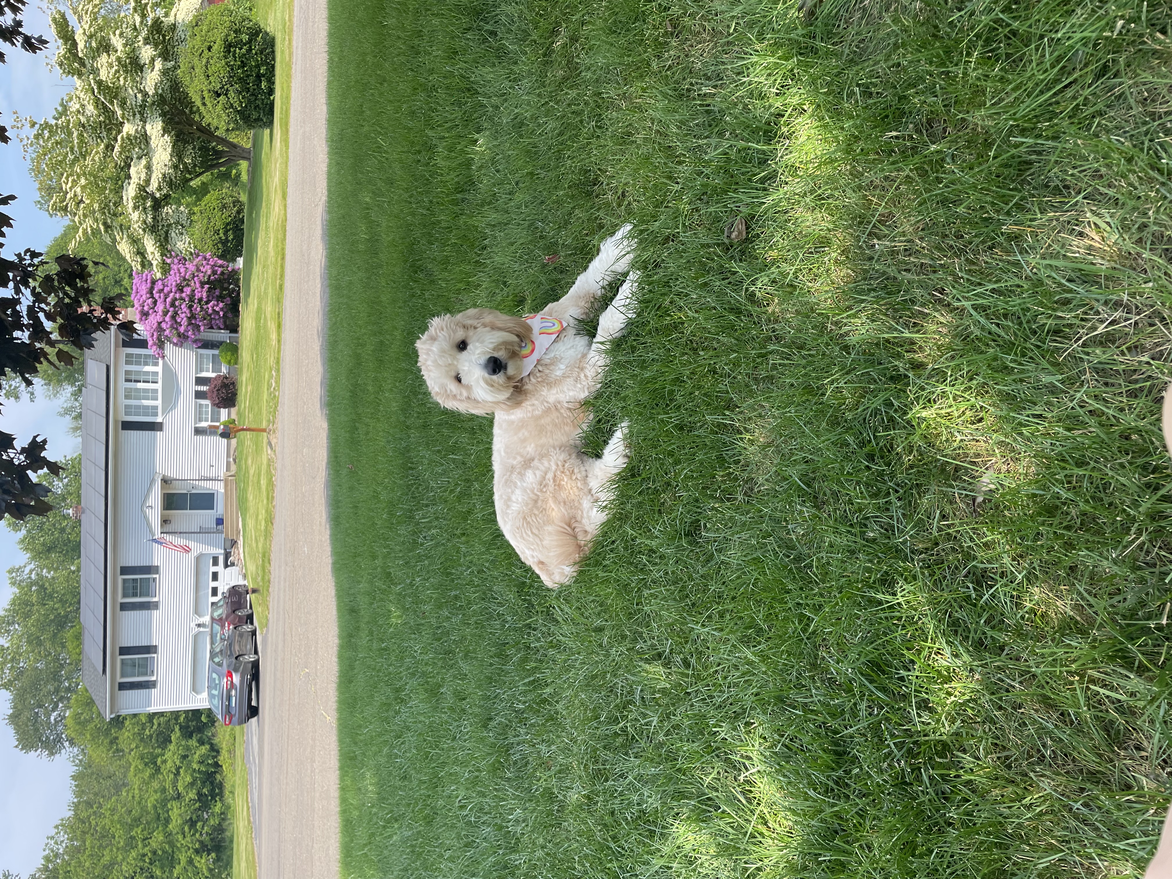 Photo Review Submission from Gabriella Bedryczuk