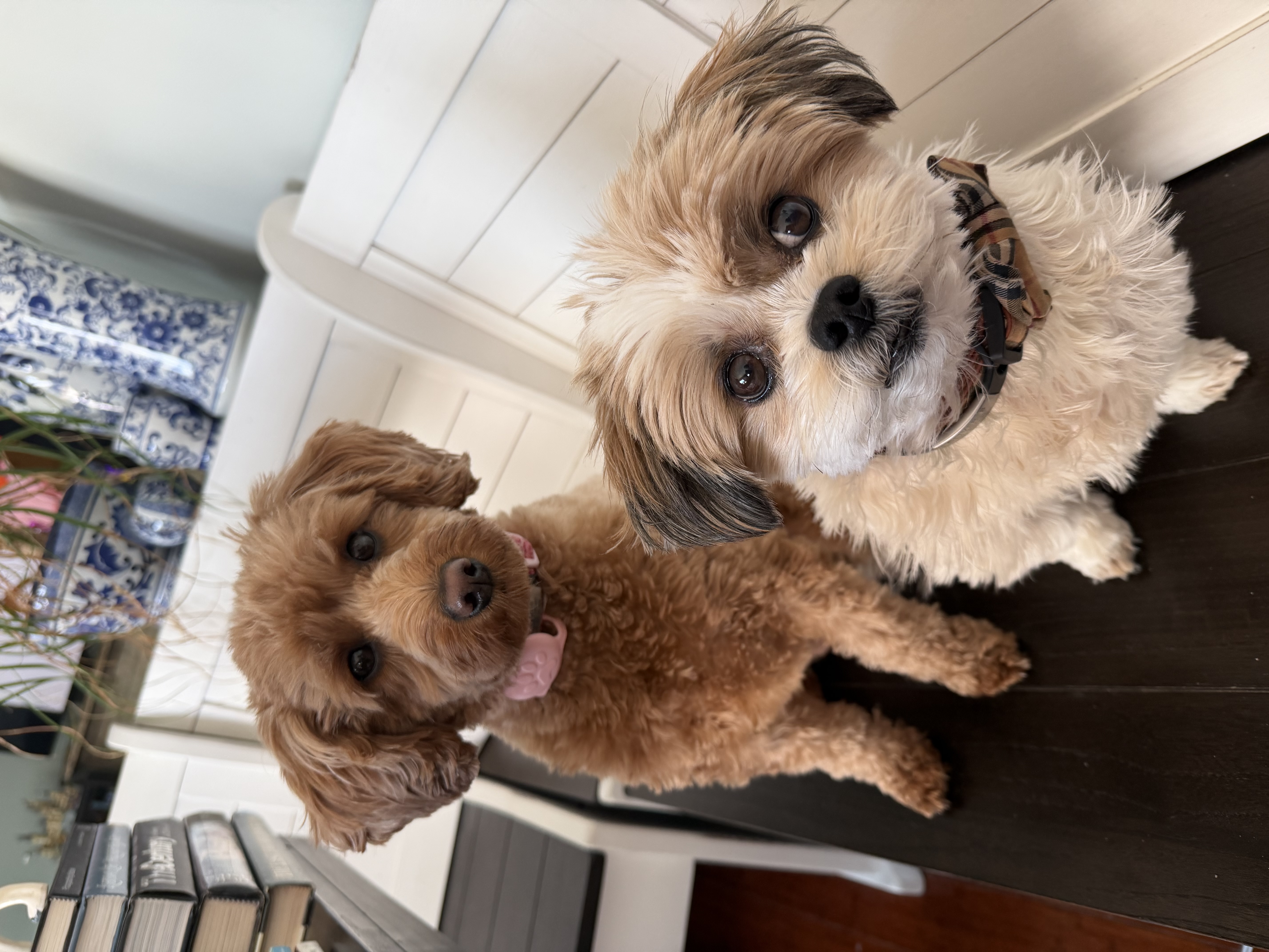 Photo Review Submission from Maria Hadden