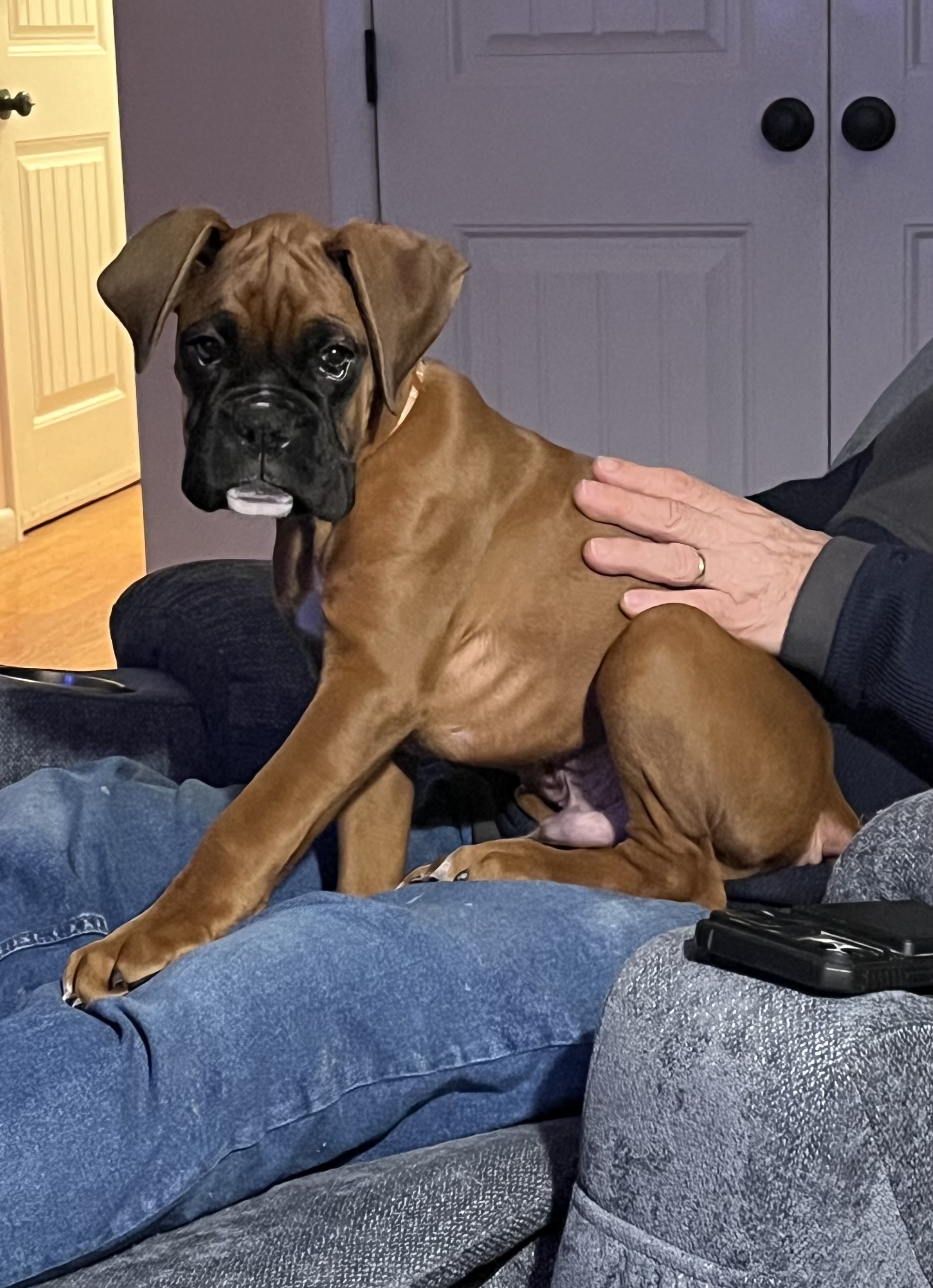 Photo Review Submission from Bruce Engle