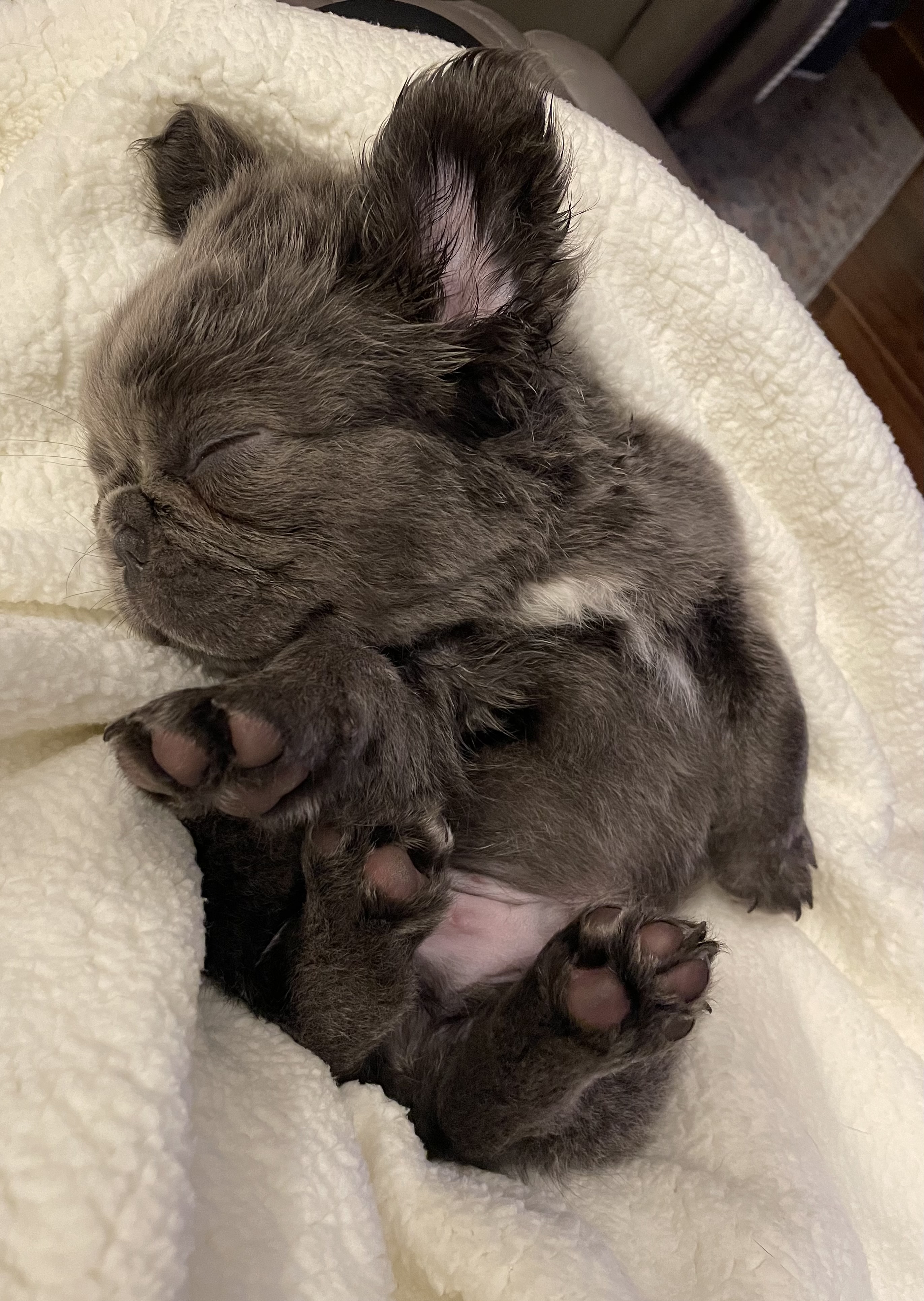 Photo Review Submission from Erica Deming