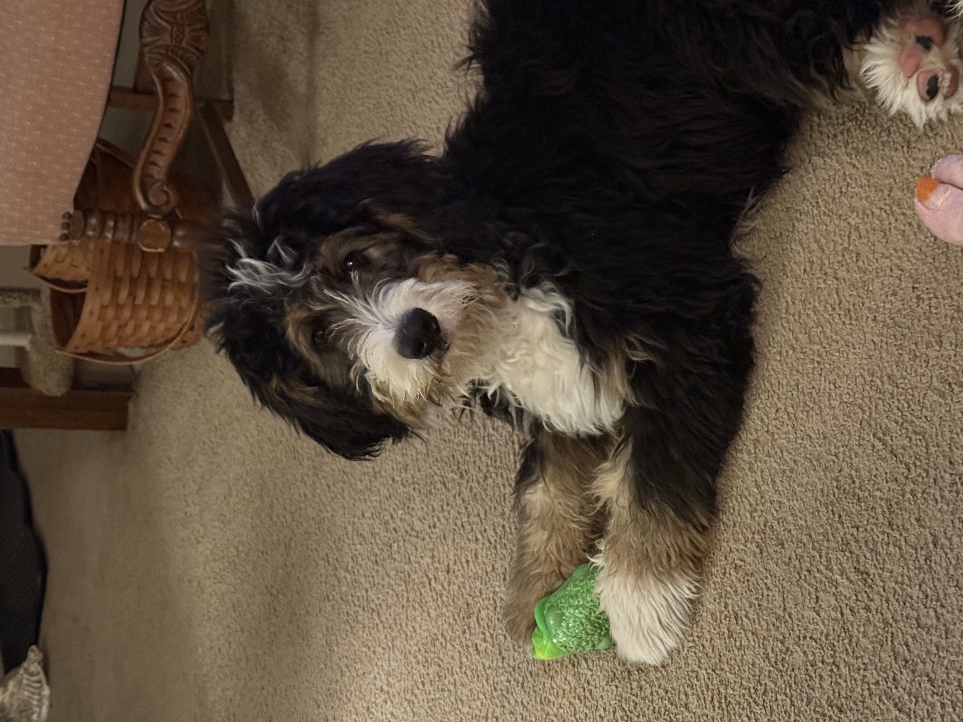 Photo Review Submission from Karen McFadden