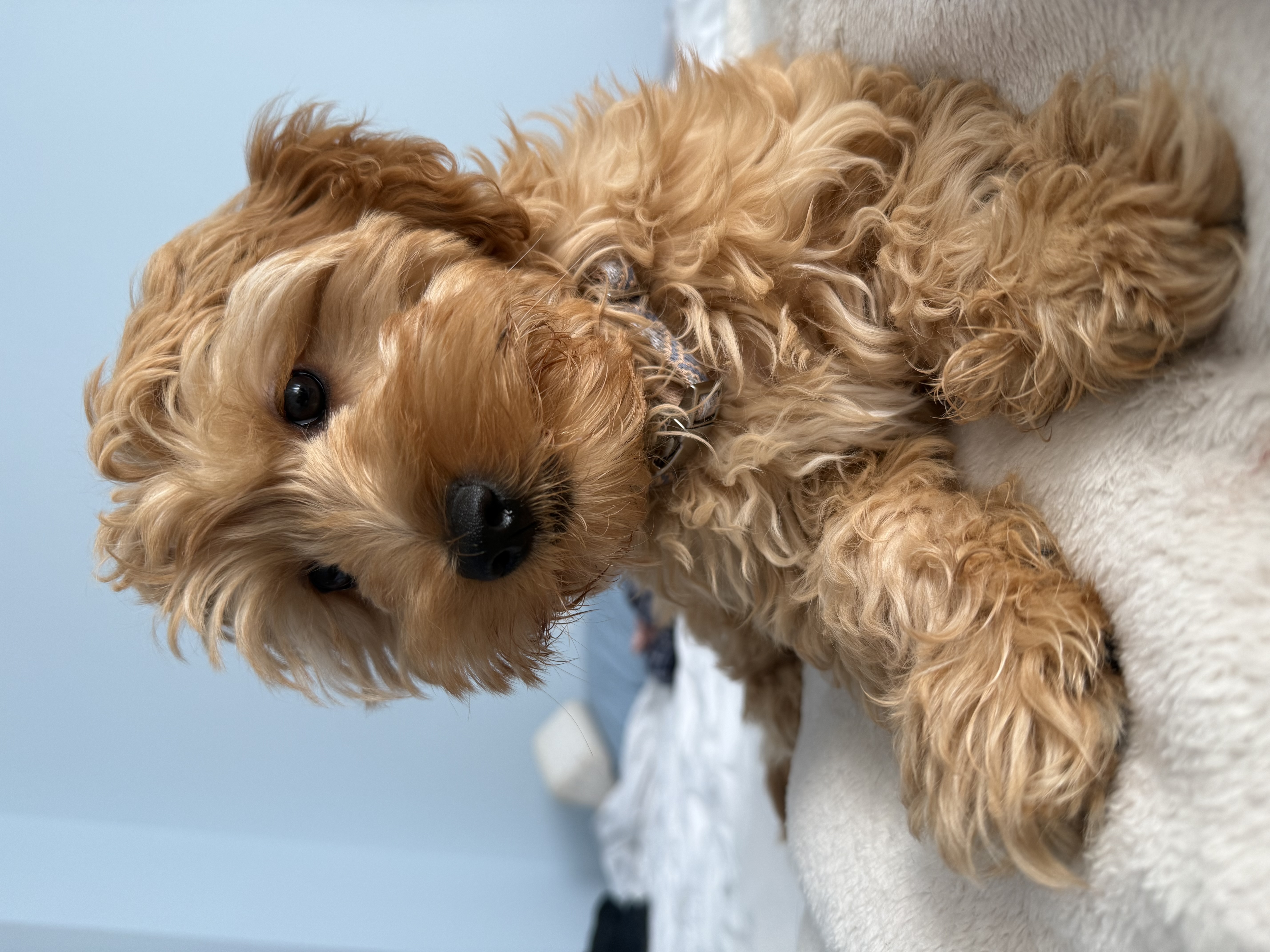 Photo Review Submission from Ana Garcia