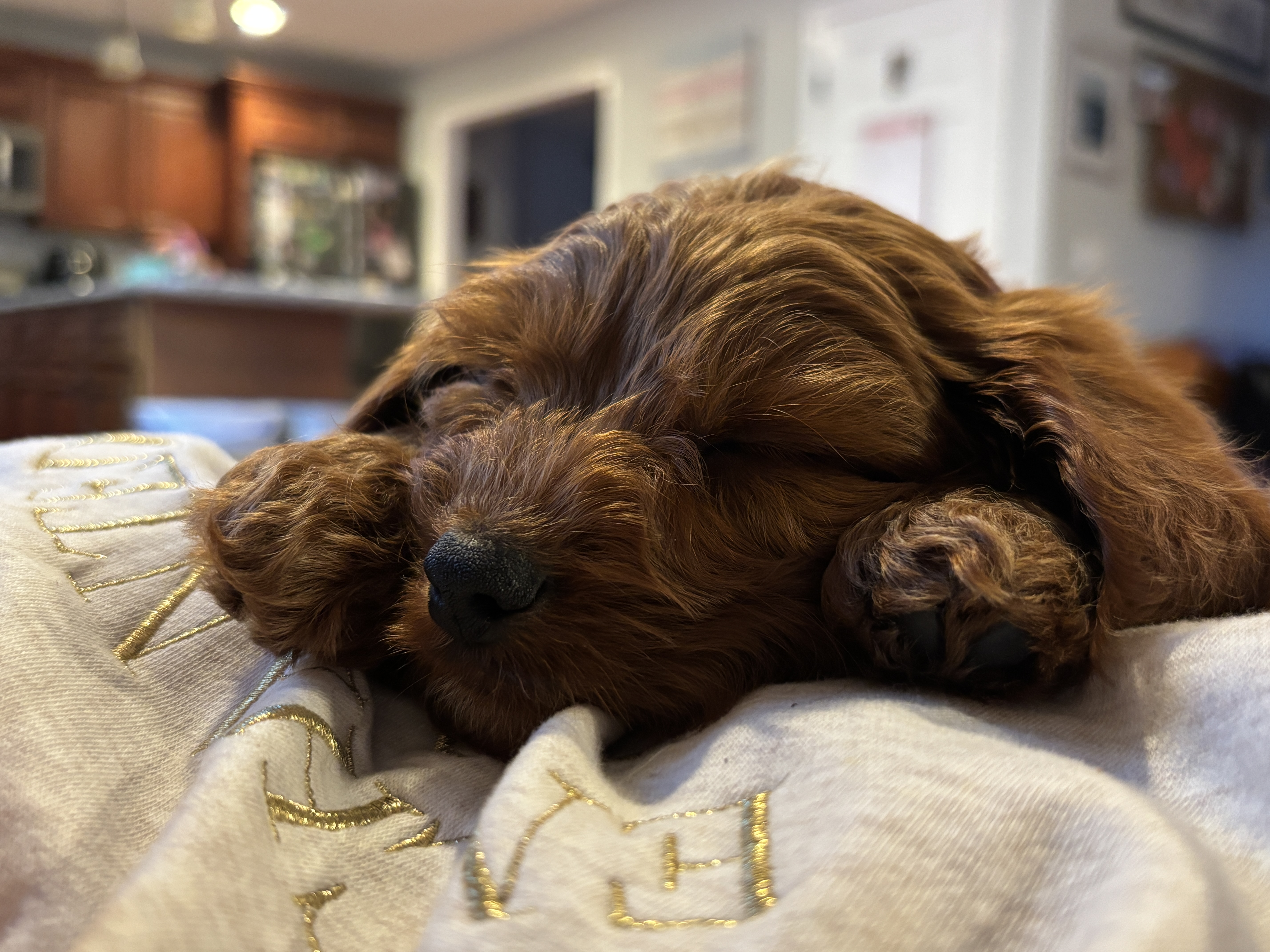 Photo Review Submission from Rob Andrade