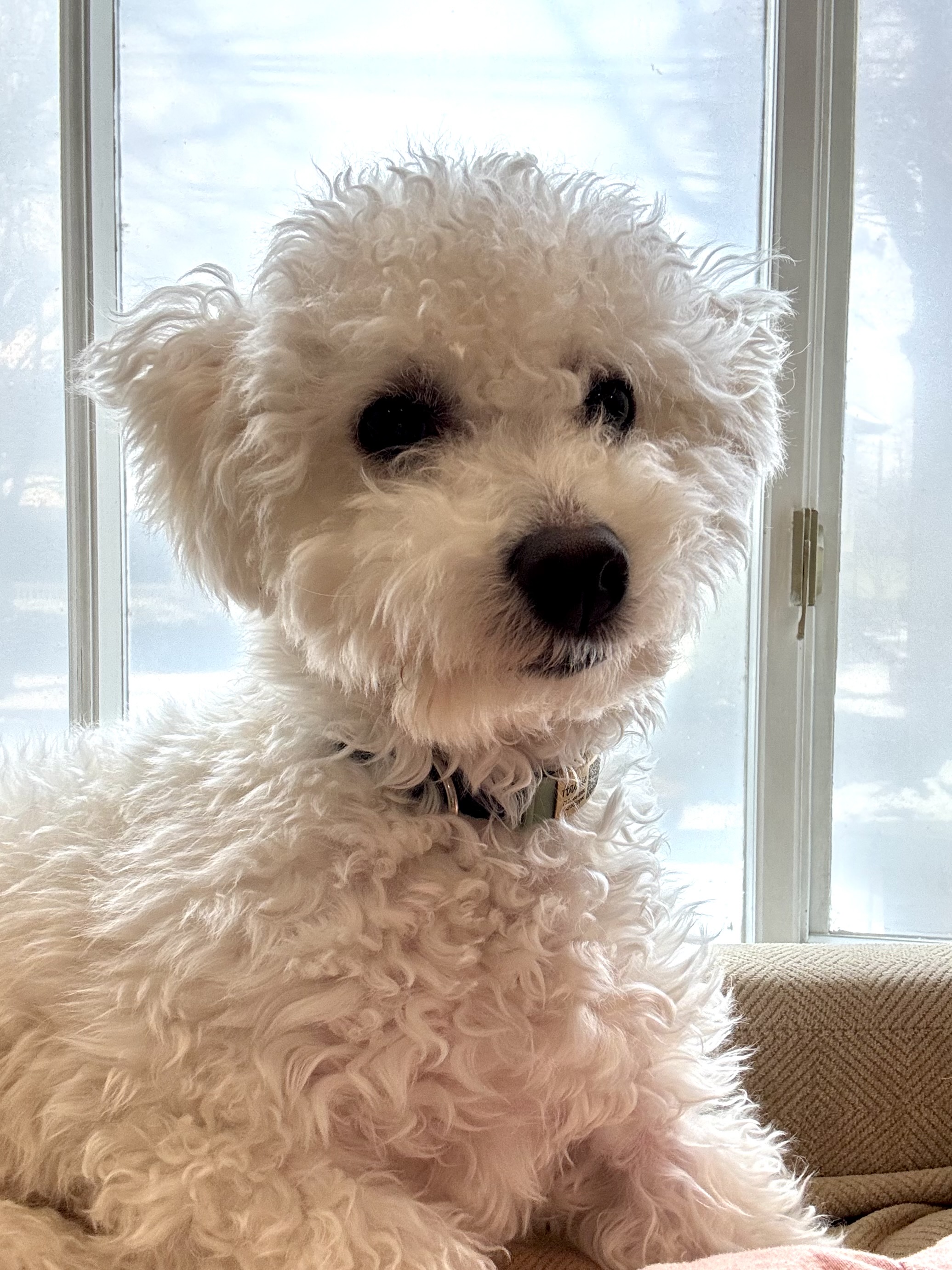 Photo Review Submission from Danielle W.