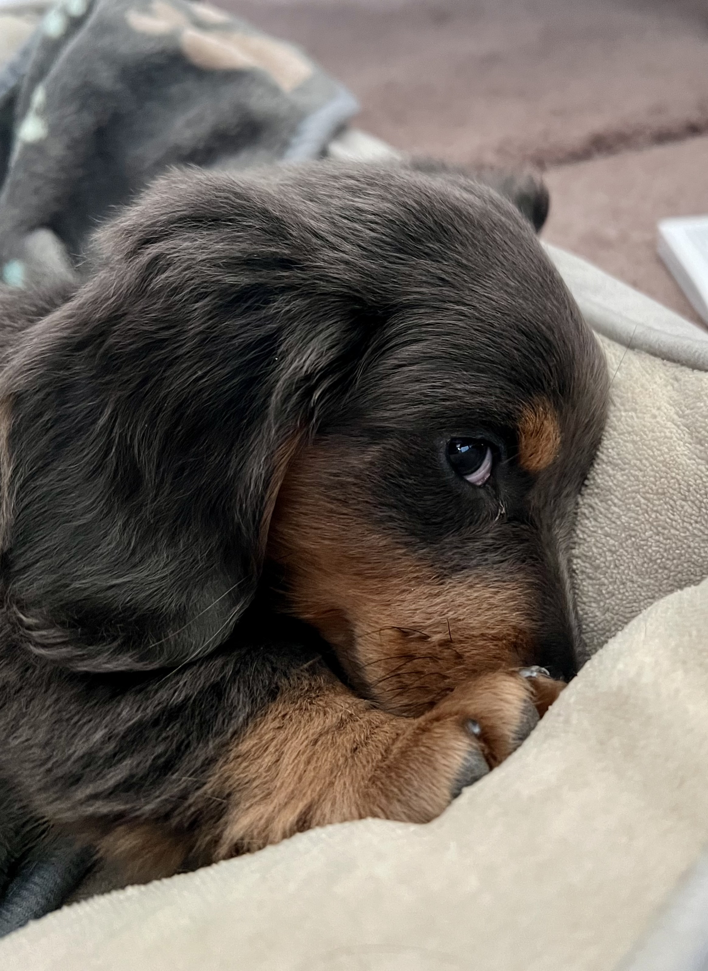 Photo Review Submission from Lloyd ZITOMER