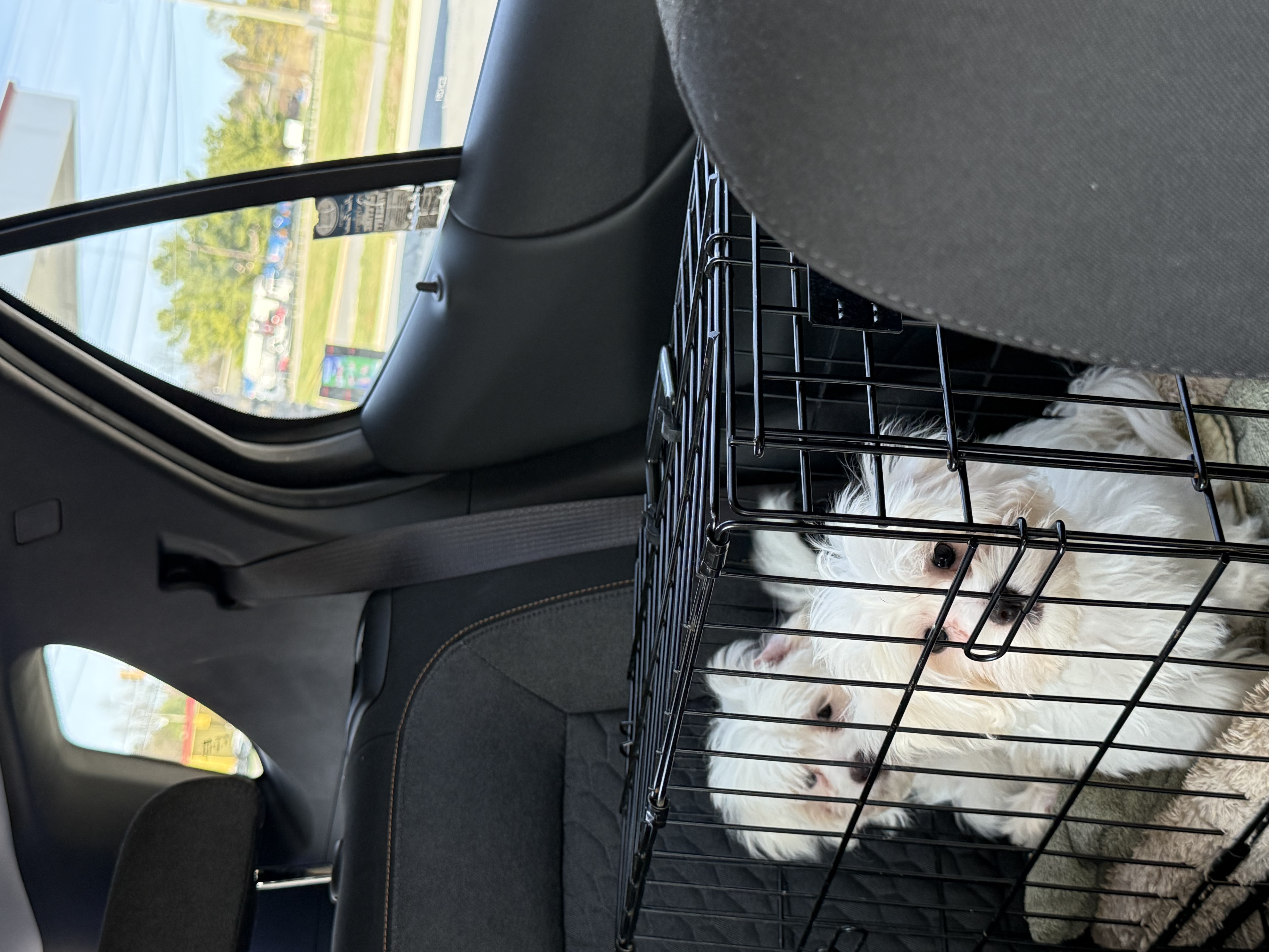 Photo Review Submission from Ann Michaelis