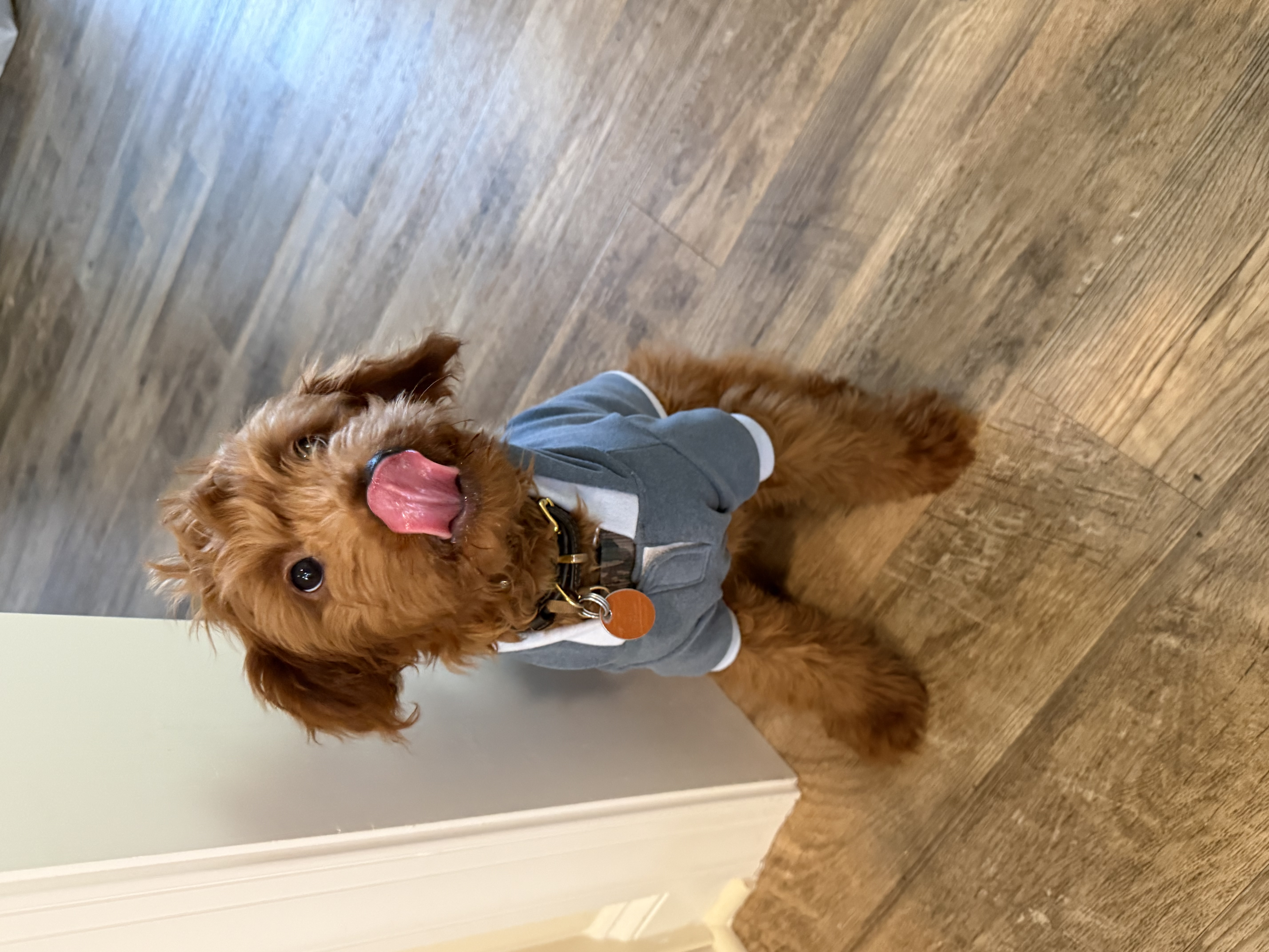 Photo Review Submission from Lucia Del Duca