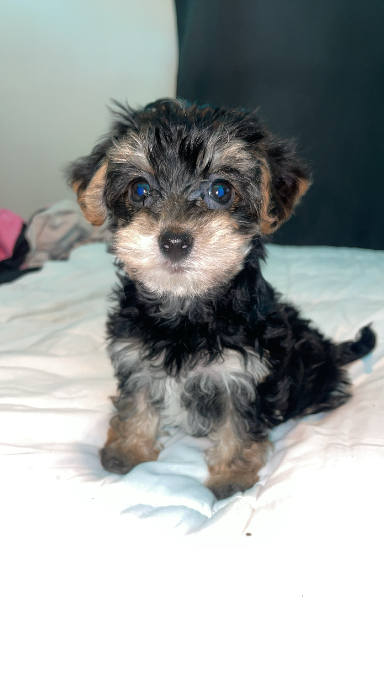 Photo Review Submission from Melanie Vargas