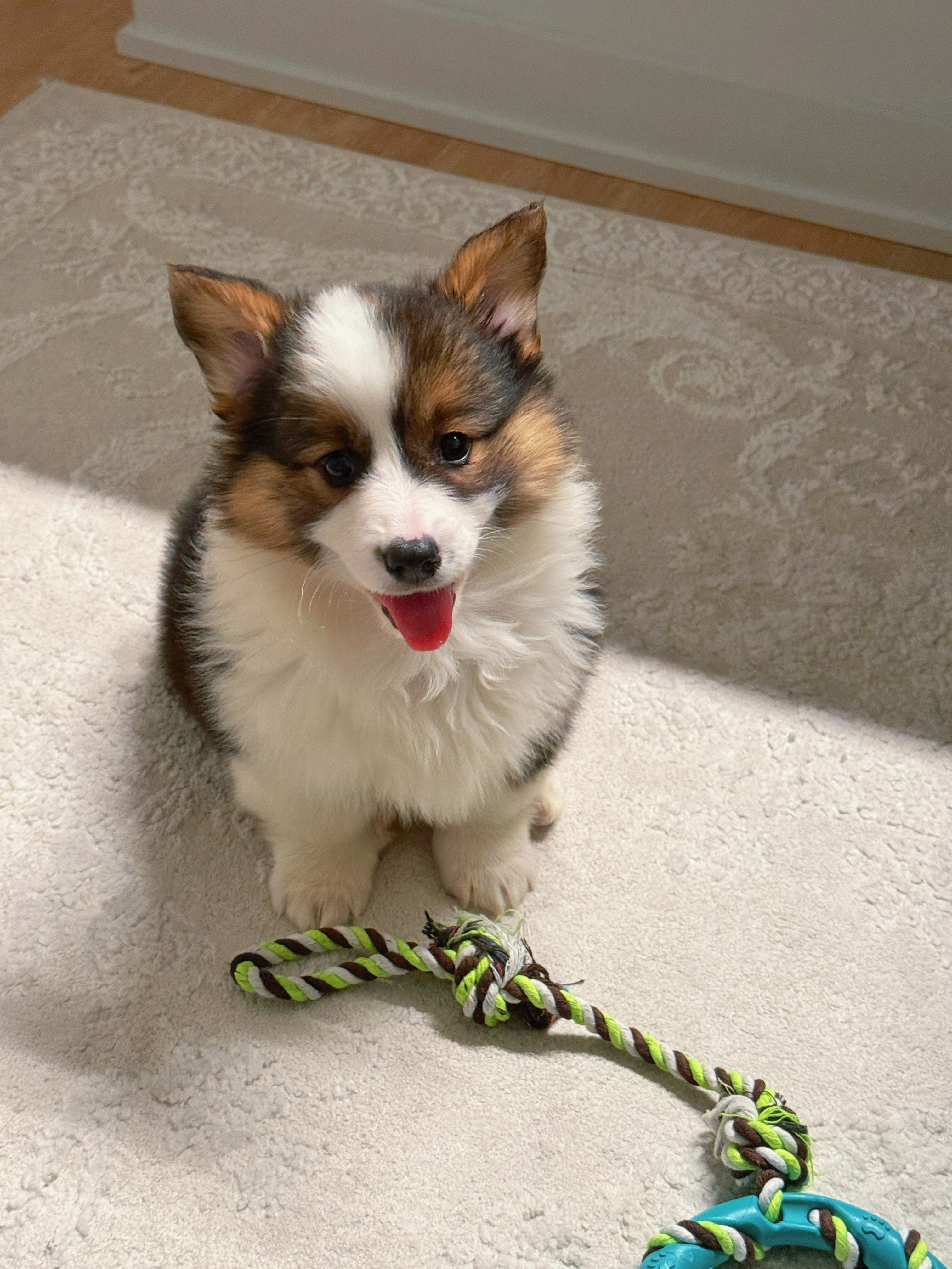 Photo Review Submission from Ziwei Wang