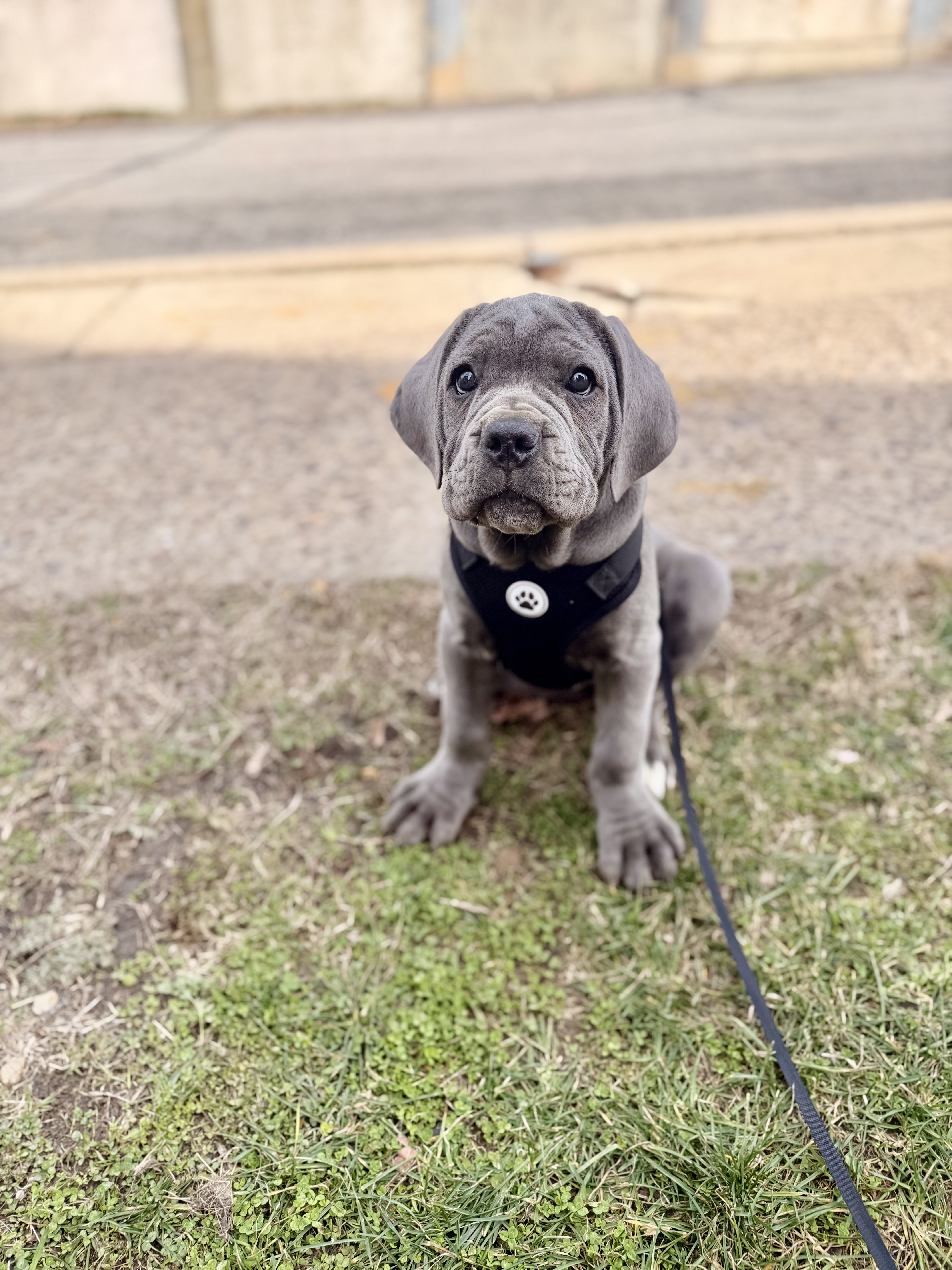 Photo Review Submission from cheyenne prescott