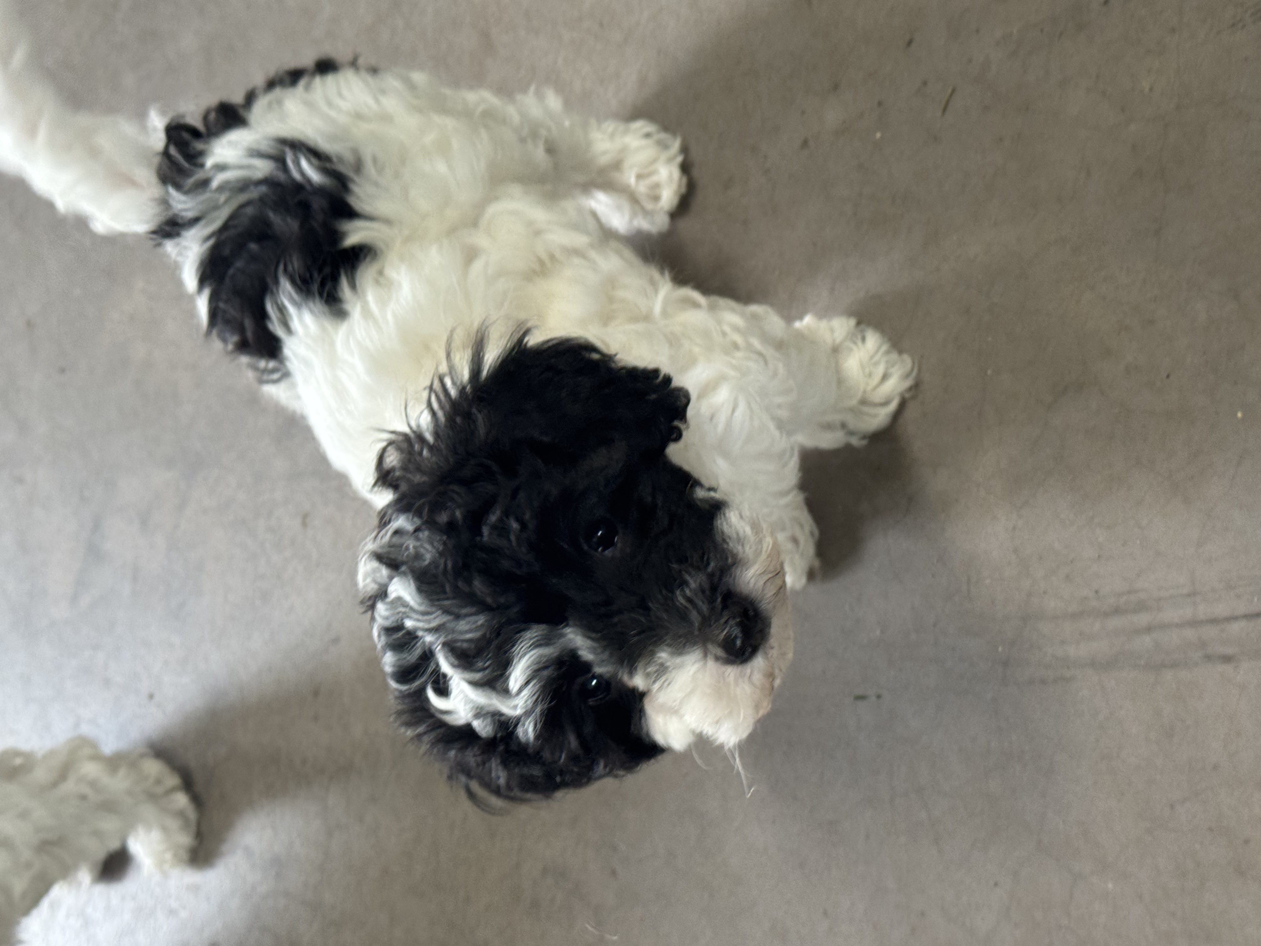 Photo Review Submission from ROSALYNN JUKES