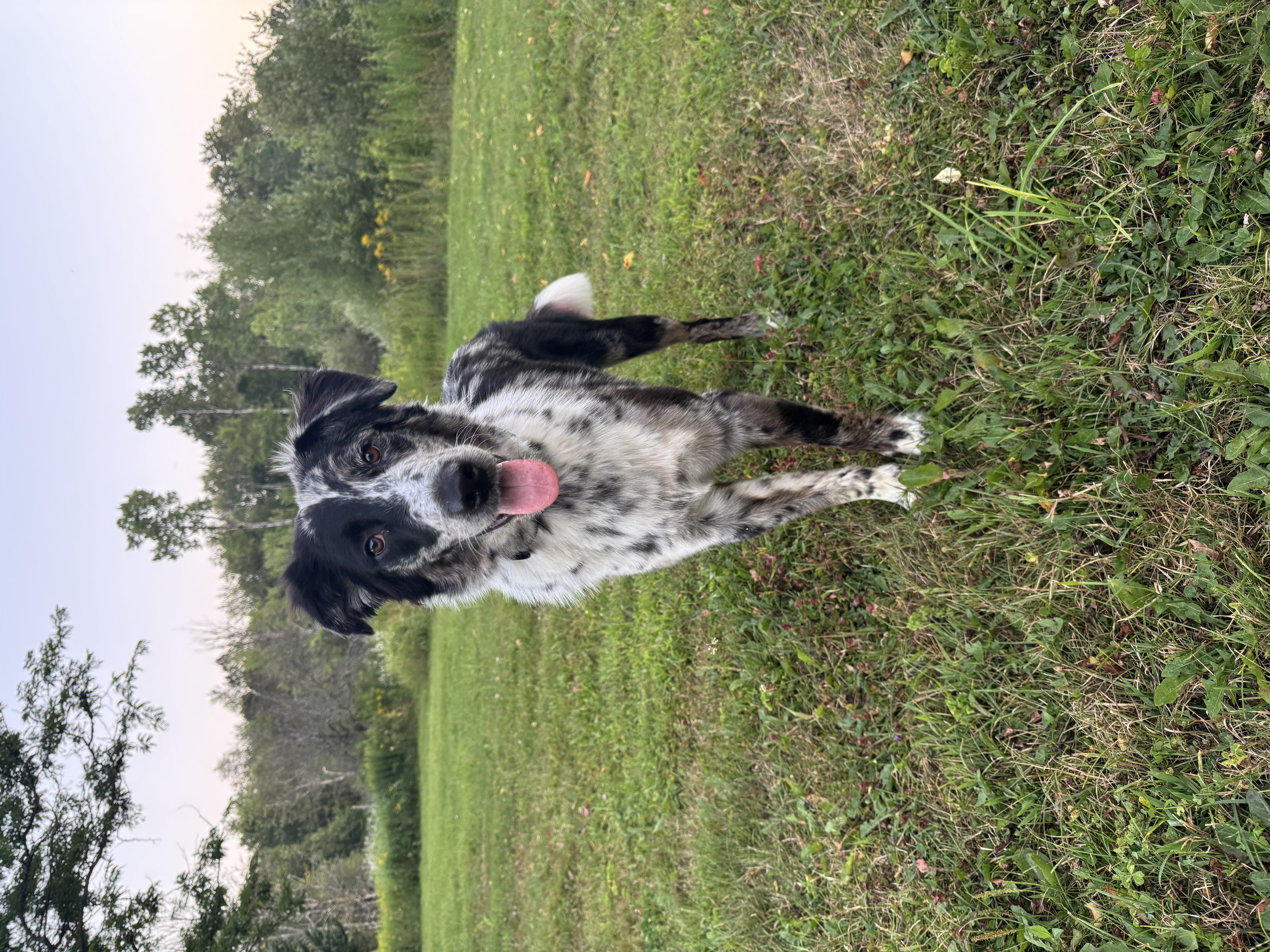 Photo Review Submission from Kayla Small
