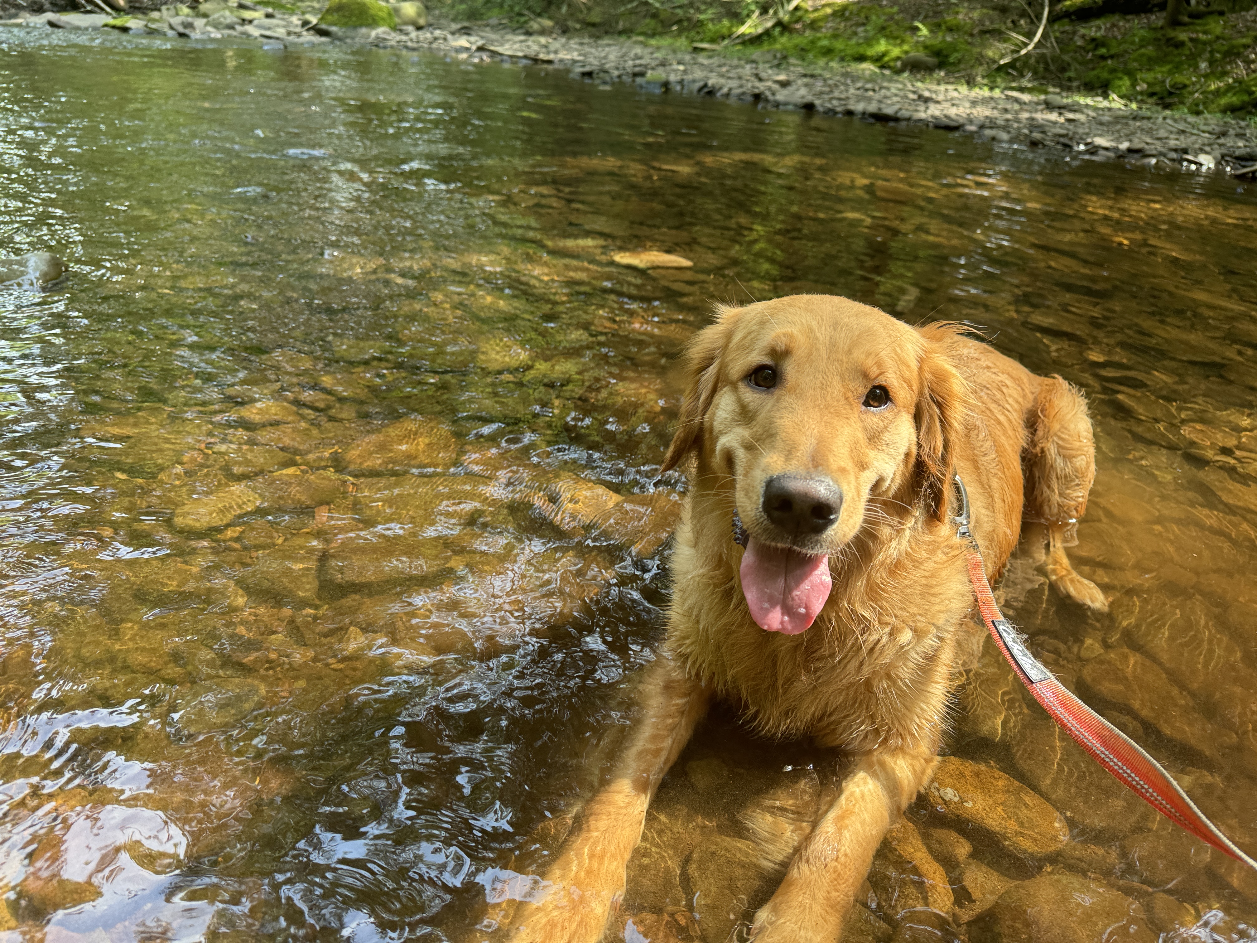 Photo Review Submission from Hailey Wolfe