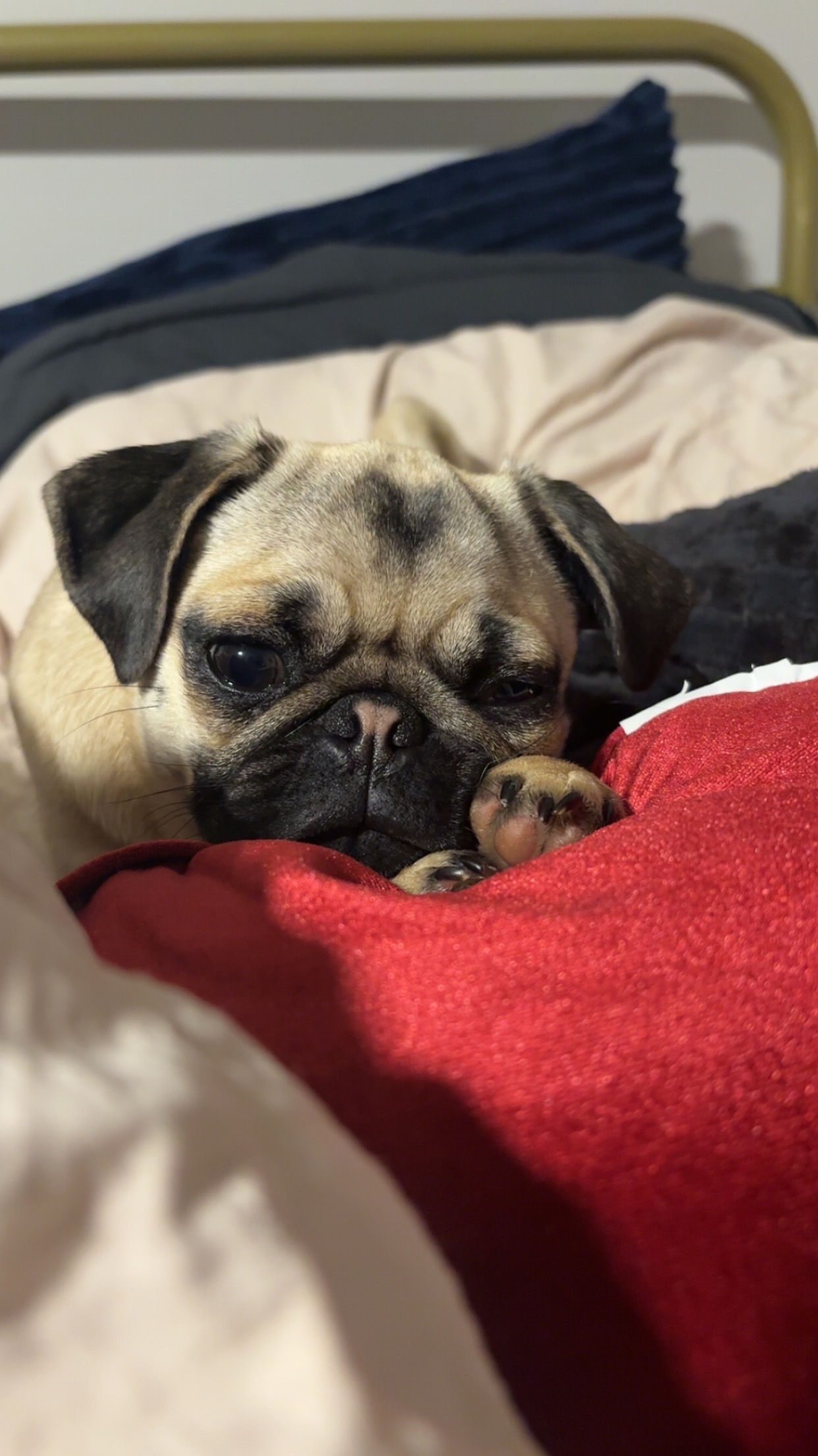 Photo Review Submission from Danielle Porro