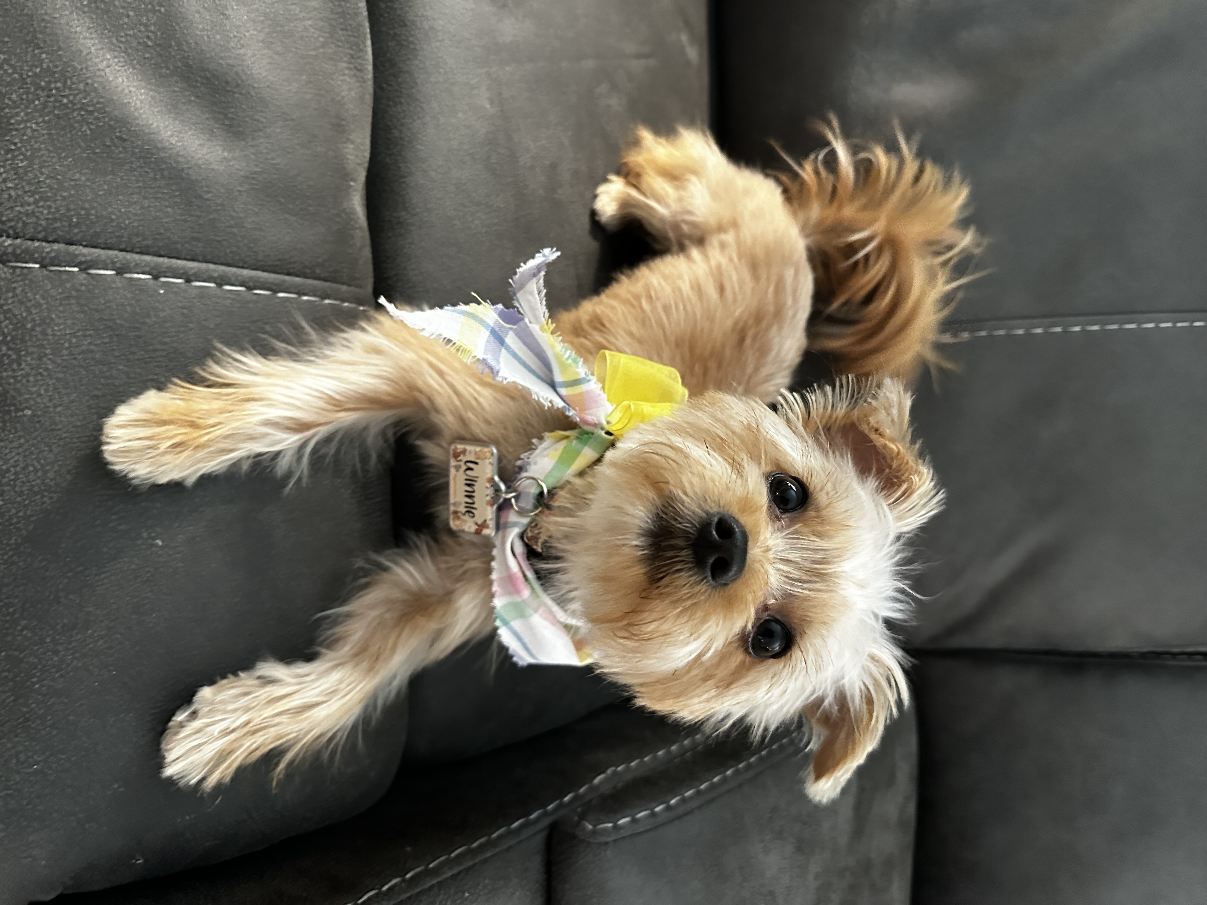 Photo Review Submission from Kimberly Rickert