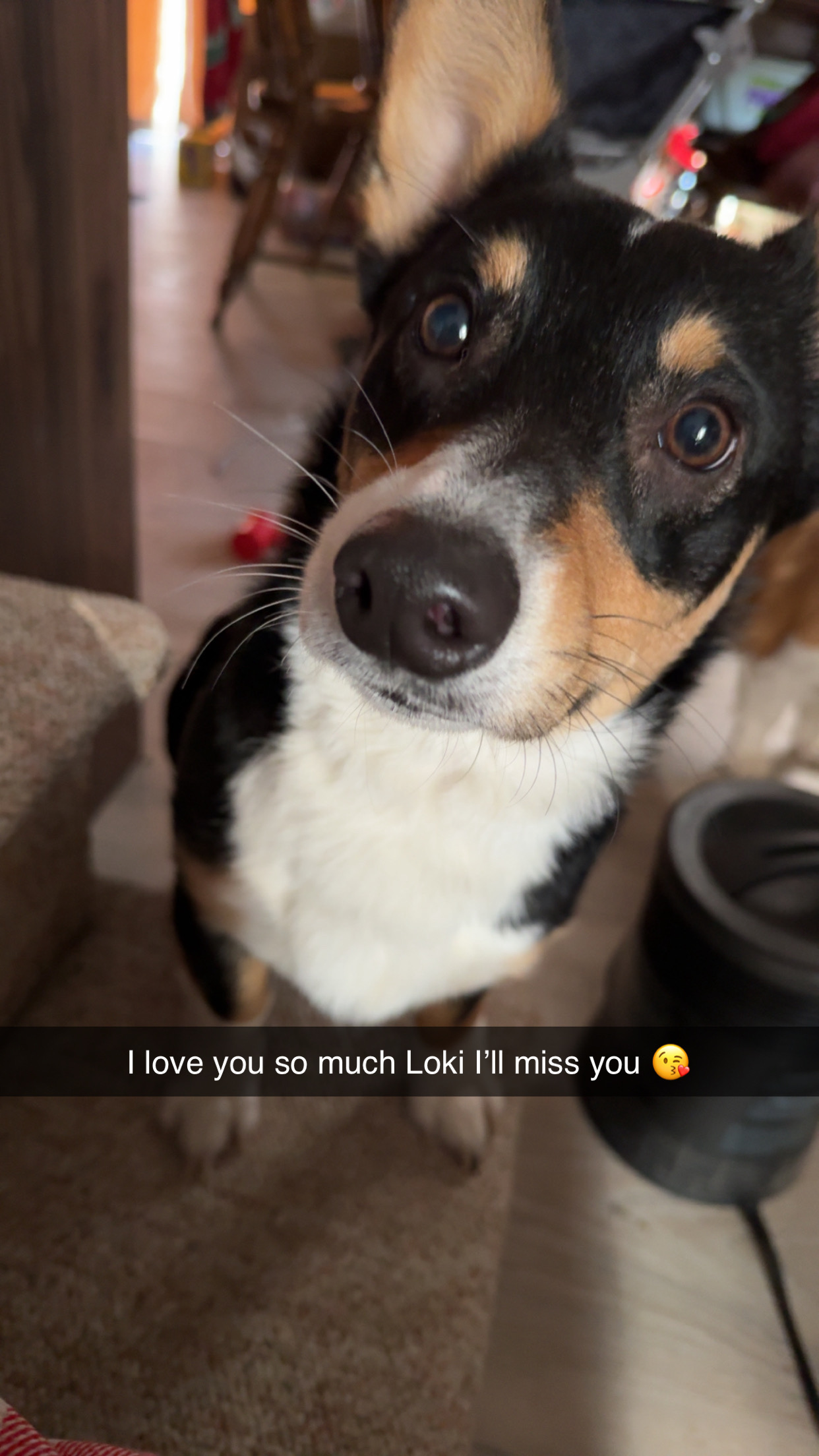 Photo Review Submission from Thessaly Caballero