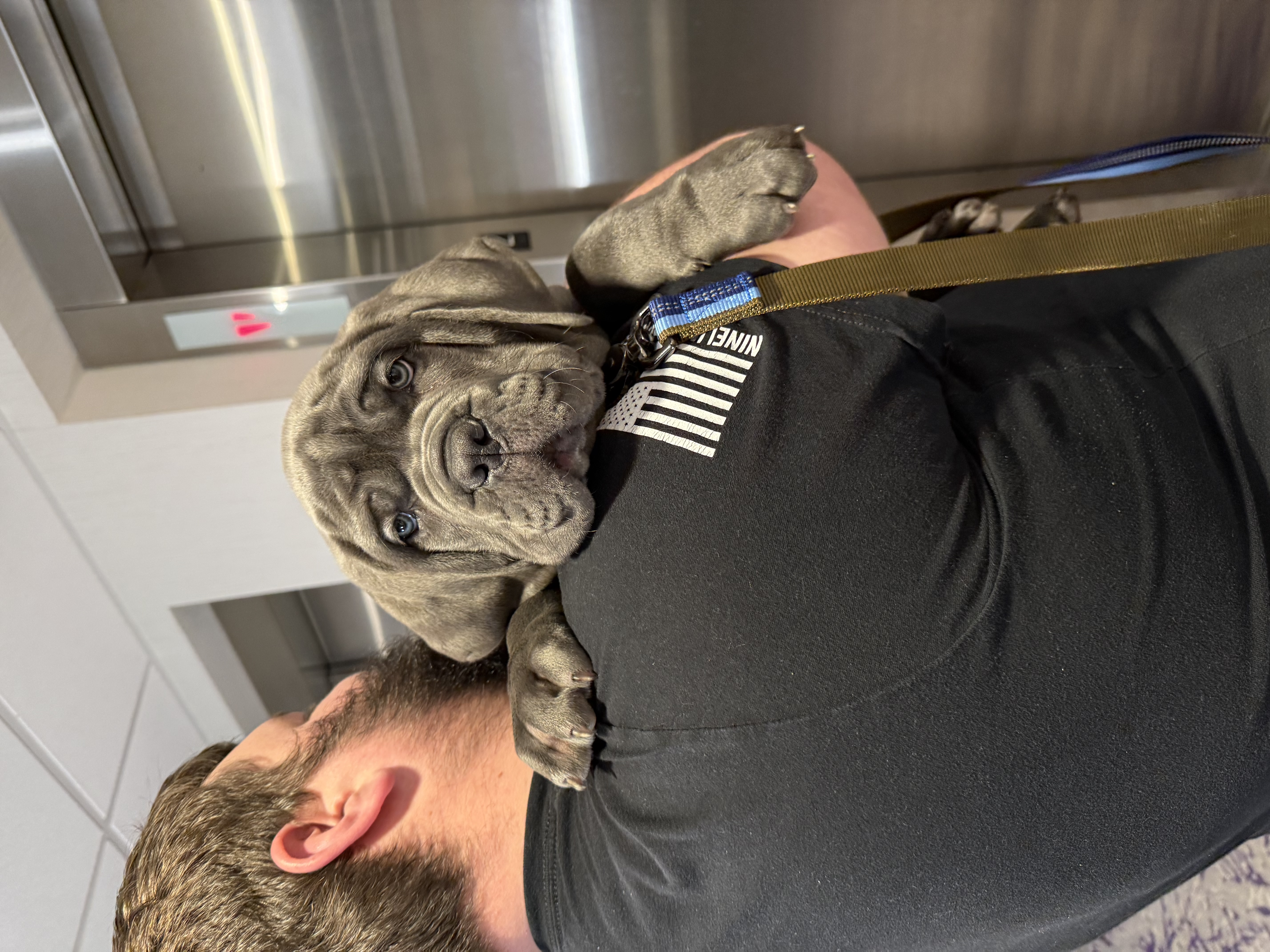 Photo Review Submission from Cameron Munro