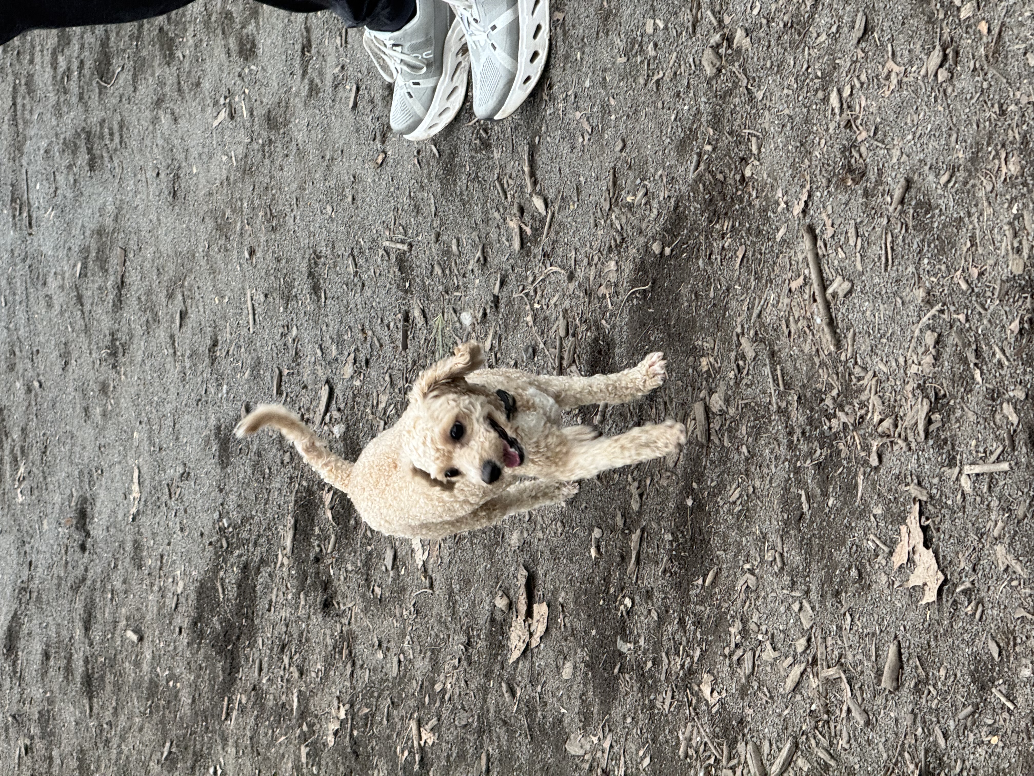 Photo Review Submission from Jiemin Tang