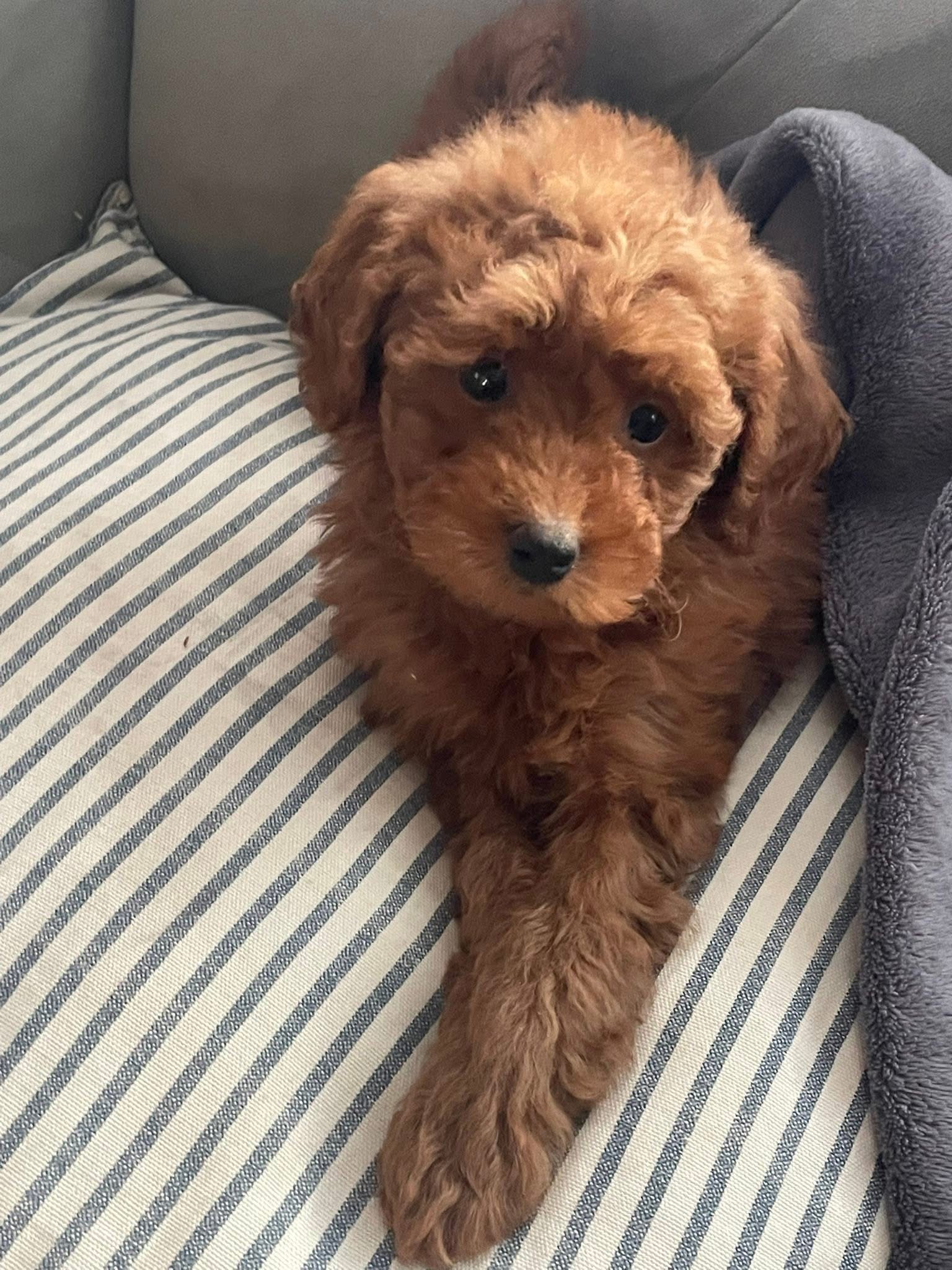 Photo Review Submission from Lorraine K