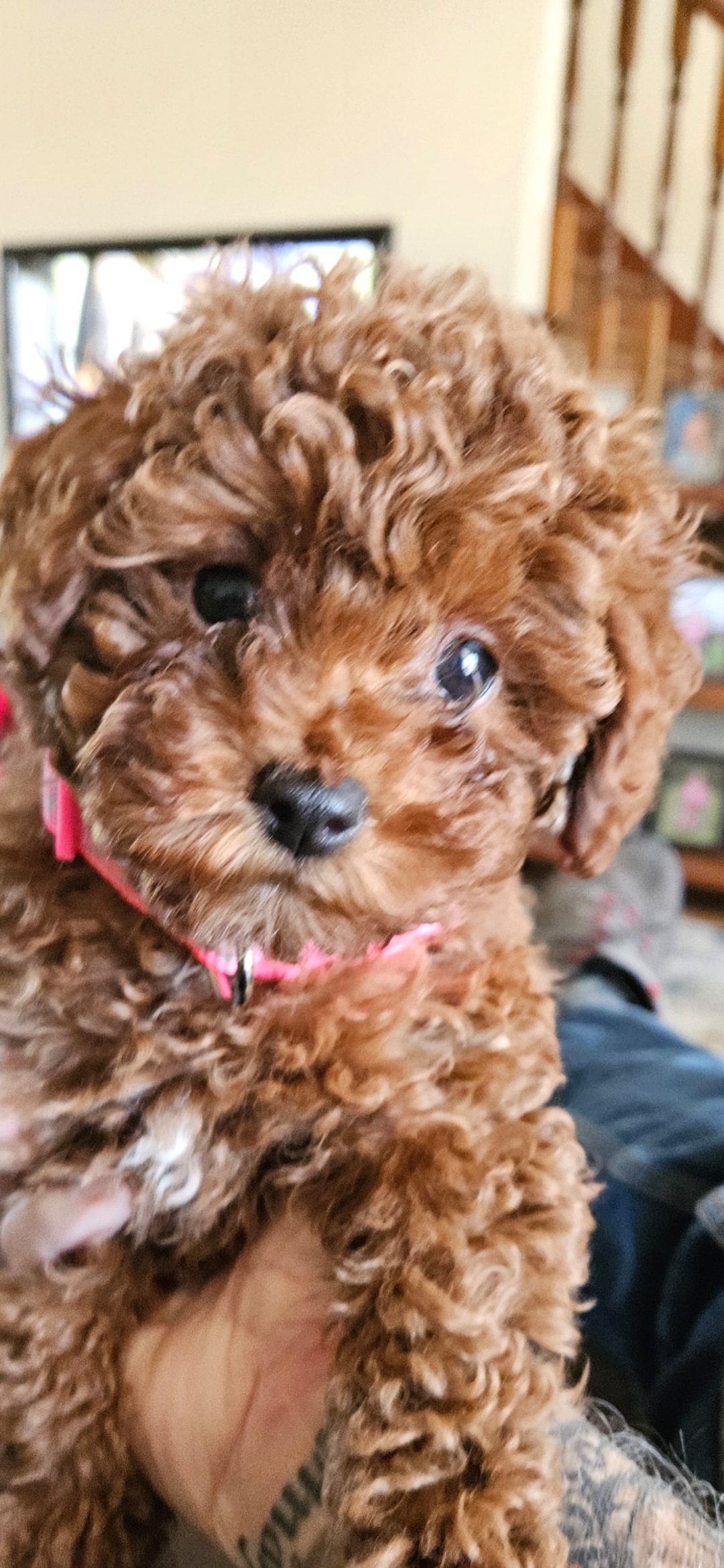 Photo Review Submission from Bill White